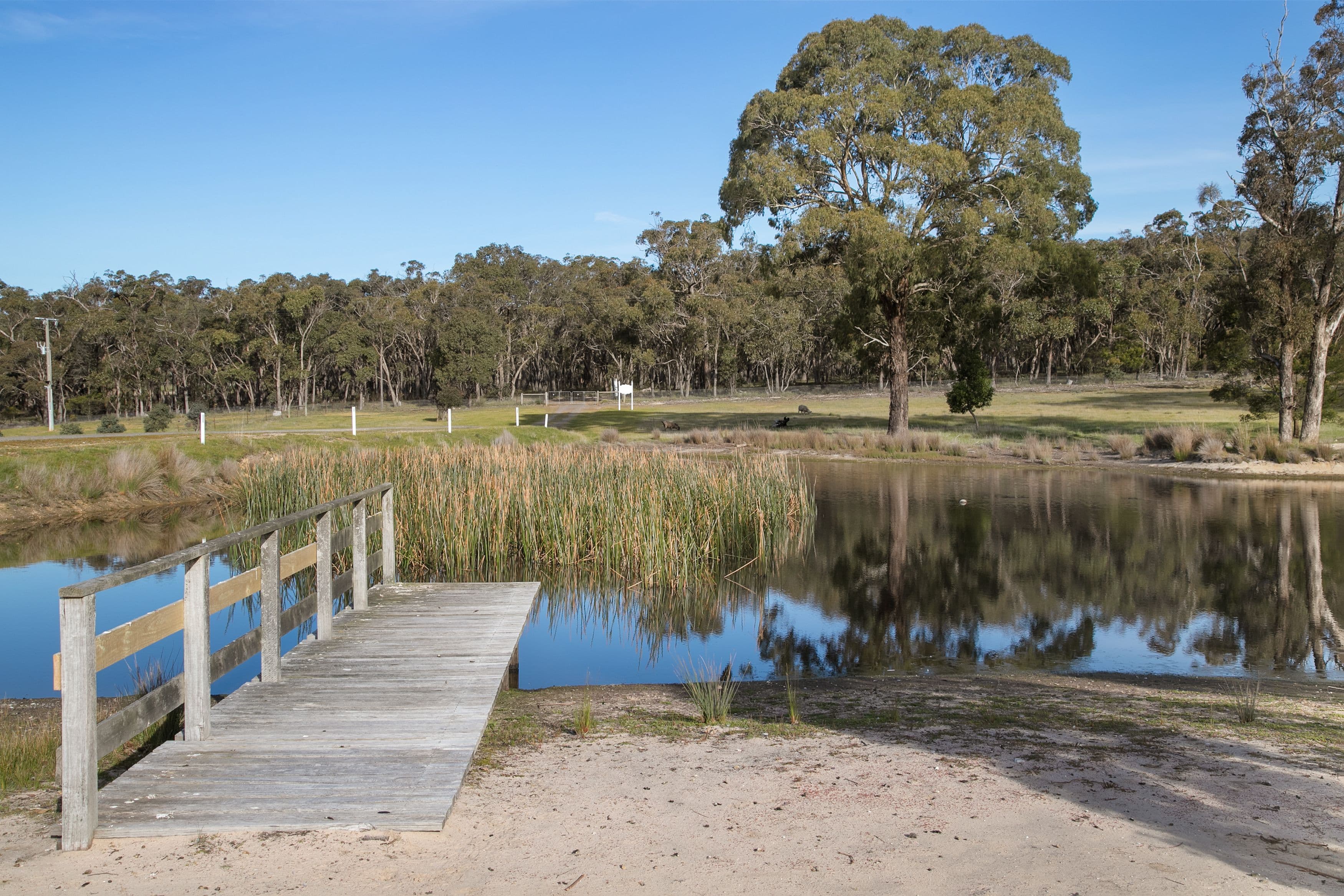132 Rifle Butts Road, Beaufort VIC 3373, Beaufort - Thumbnail 6