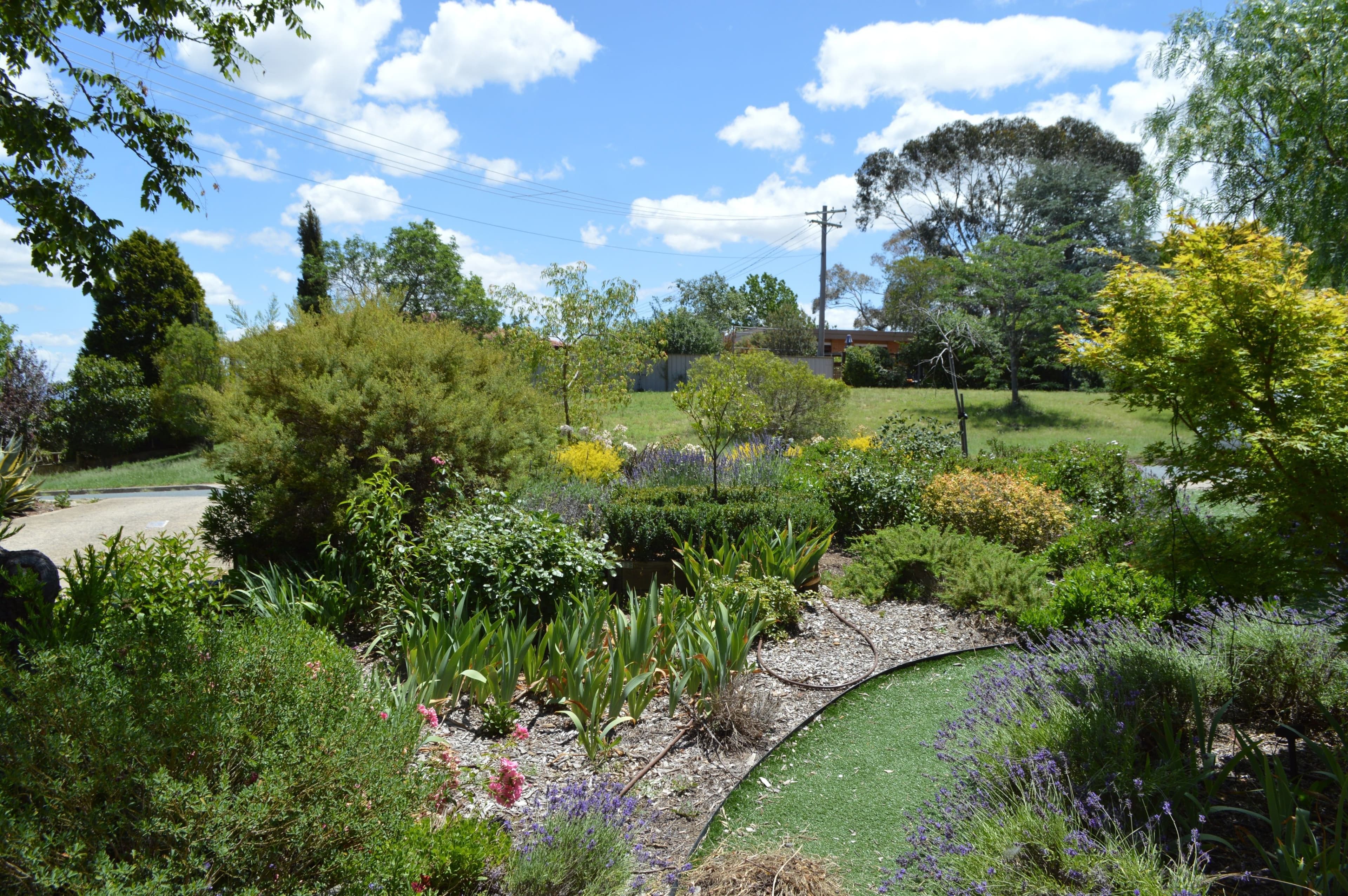 36 Scarlett Street, Melba ACT 2615, Melba - Thumbnail 3