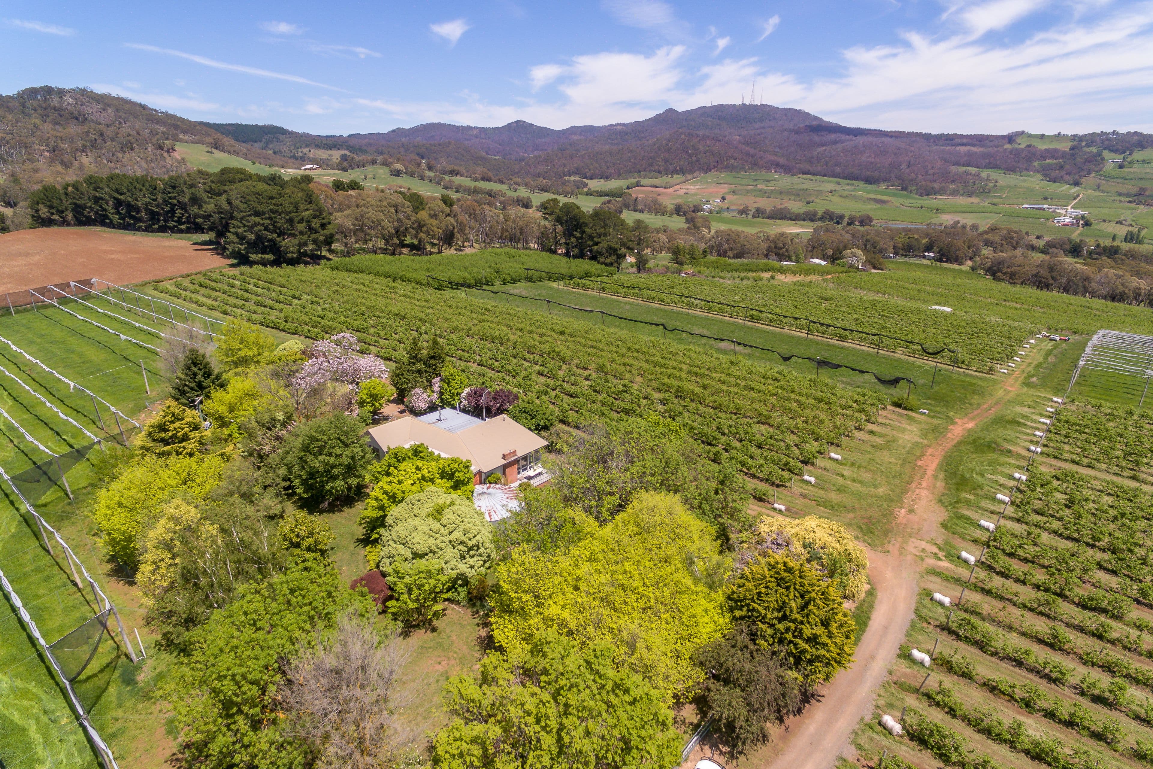 189 Wallace Lane, Orange NSW 2800, Orange - Image 1