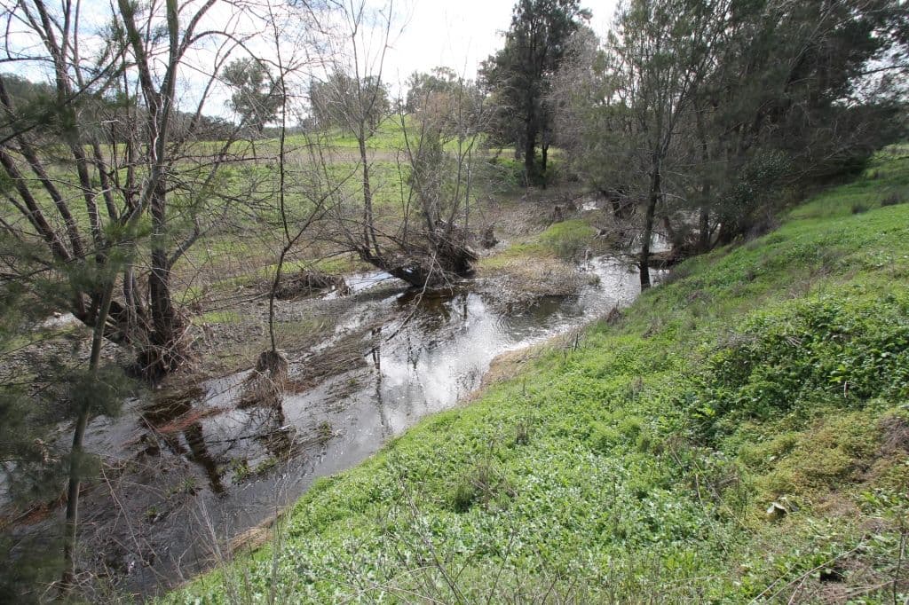 Lot 12 Grandview Place, Quirindi NSW 2343, Quirindi - Thumbnail 4