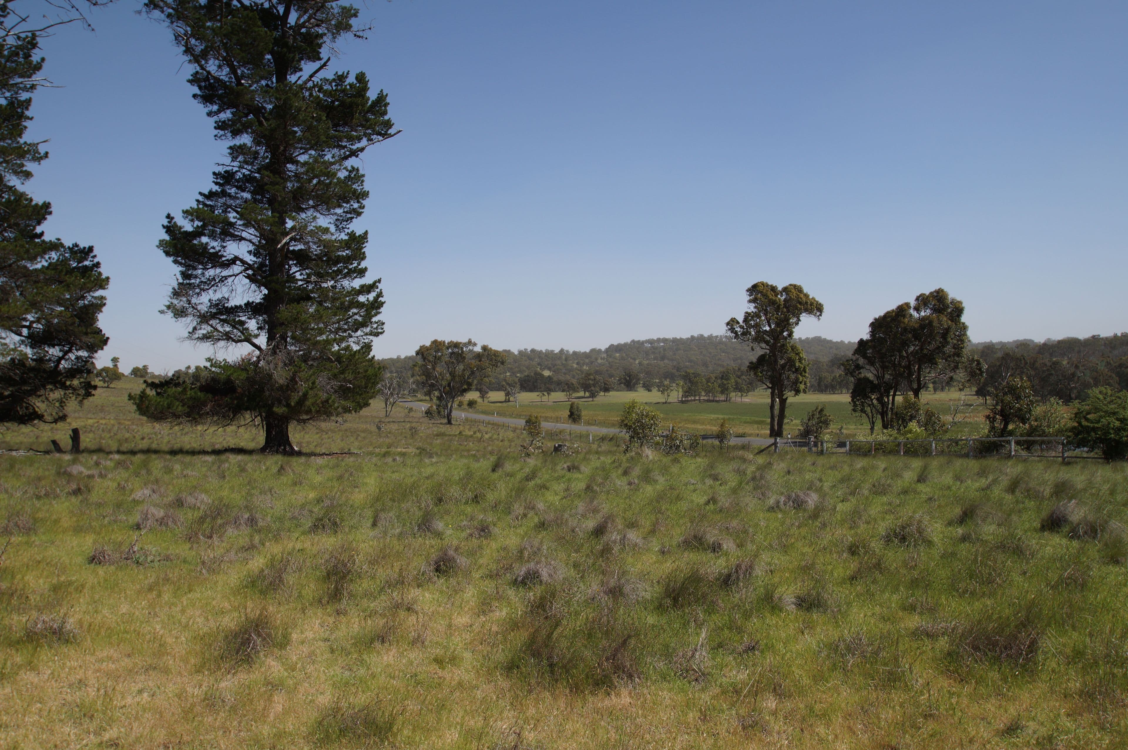 35 Dumaresq Dam Road, Armidale NSW 2350, Armidale - Thumbnail 2
