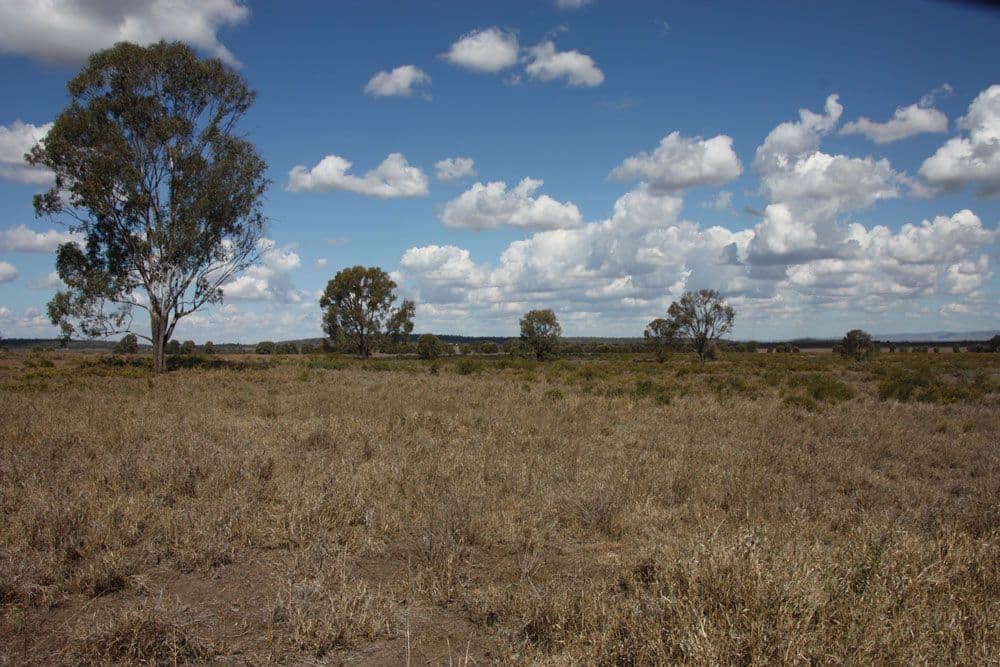 Jambin QLD 4702, Jambin - Thumbnail 5