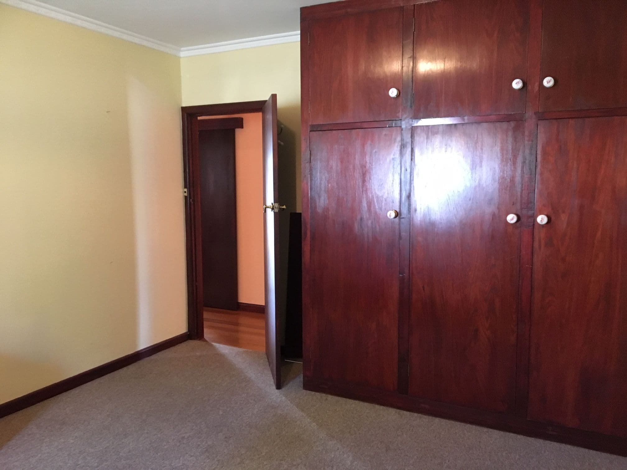 121 Pomona Road North, Riverside TAS 7250, Riverside - Thumbnail 6