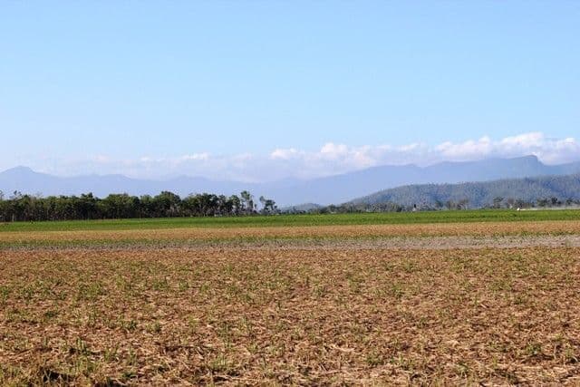 Lot 1 Scotts Road, Lannercost QLD 4850, Lannercost - Thumbnail 7