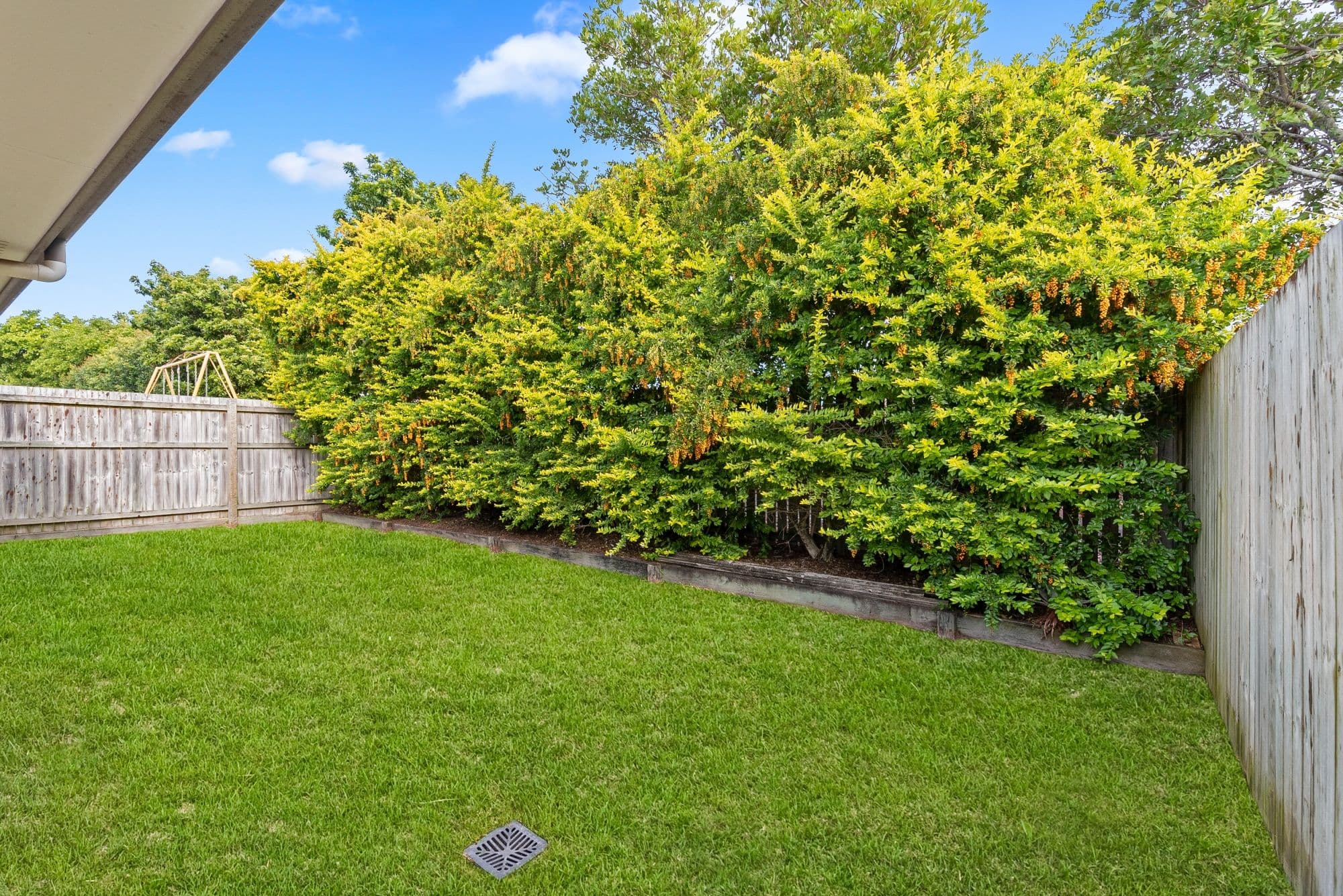 15 Norseman Street, Rothwell QLD 4022, Rothwell - Thumbnail 8