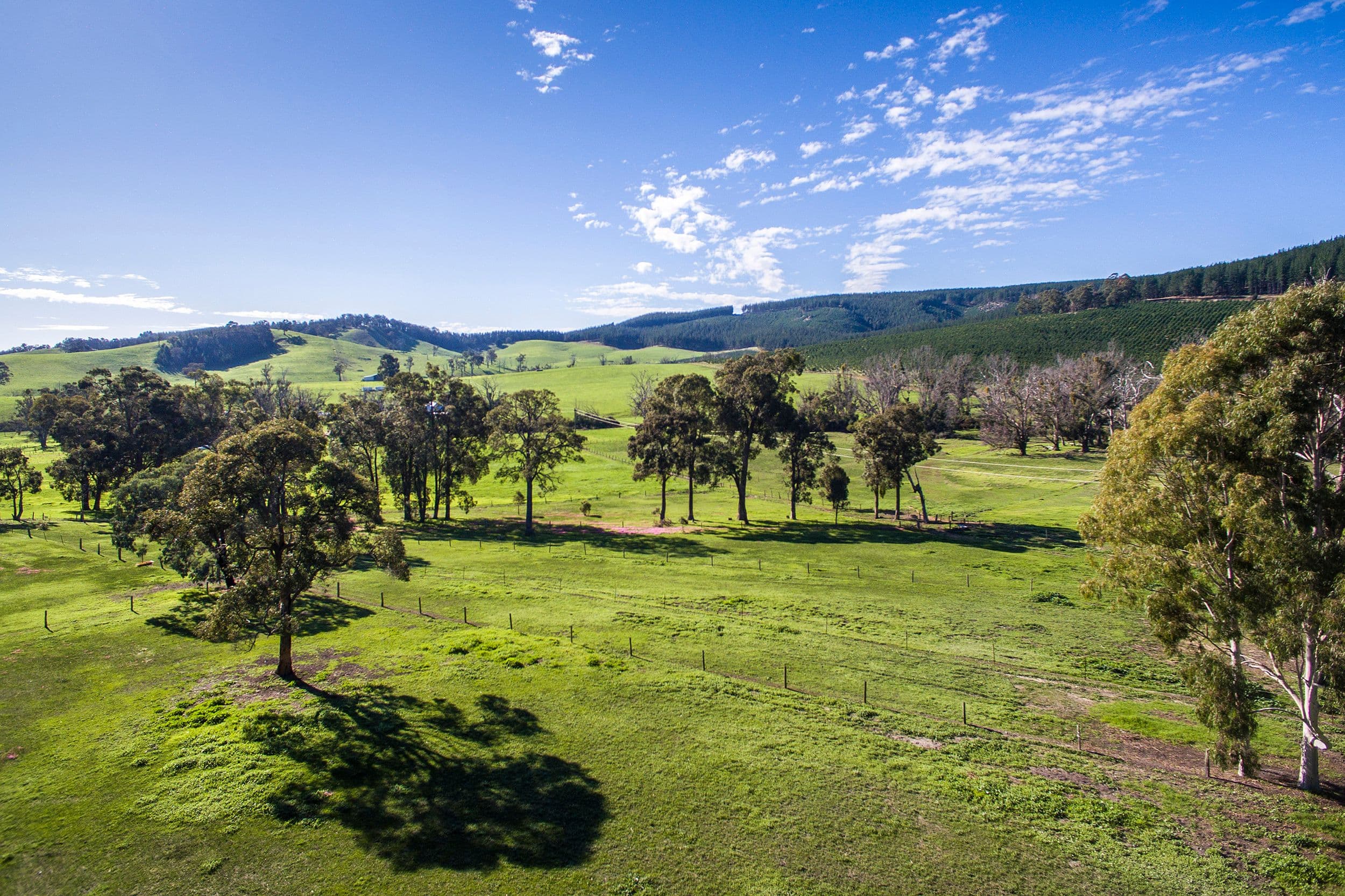 253 East Nannup Road, Nannup WA 6275, Nannup - Thumbnail 2