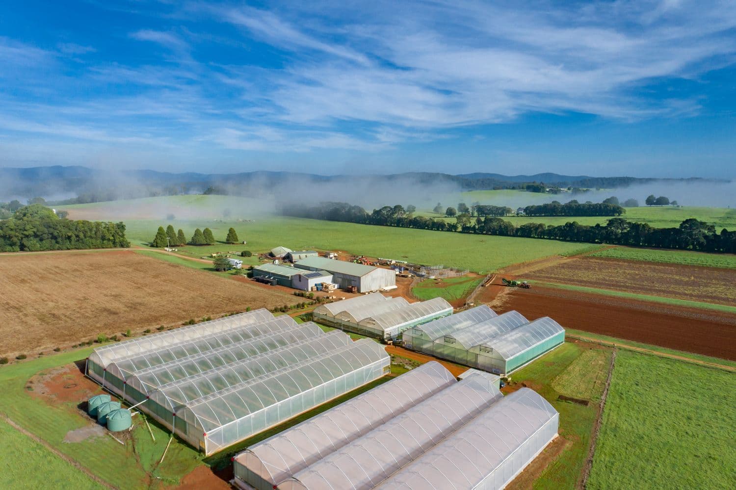68 Paddys Plains Road, Dorrigo NSW 2453, Dorrigo - Thumbnail 2