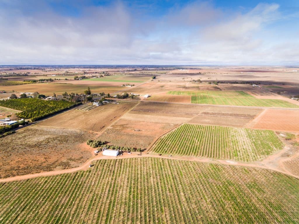 608 Paschendale Avenue, Merbein West VIC 3505, Merbein West - Thumbnail 3