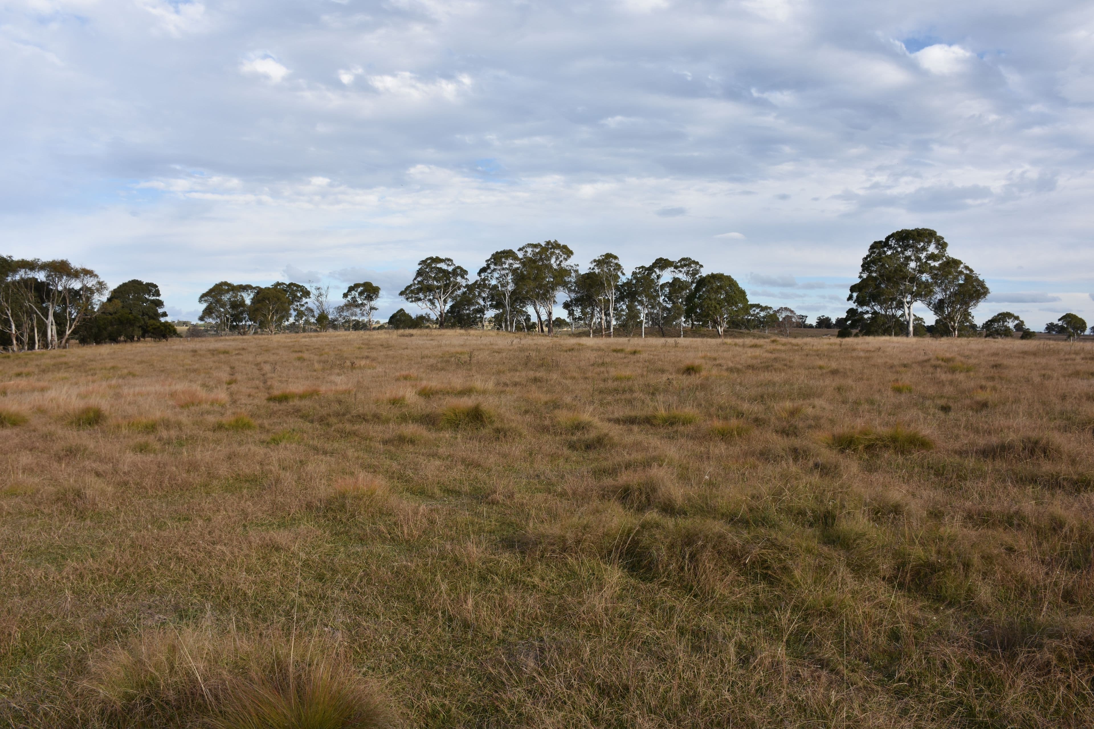 0 Donnelly's, Glen Innes NSW 2370, Glen Innes - Thumbnail 4