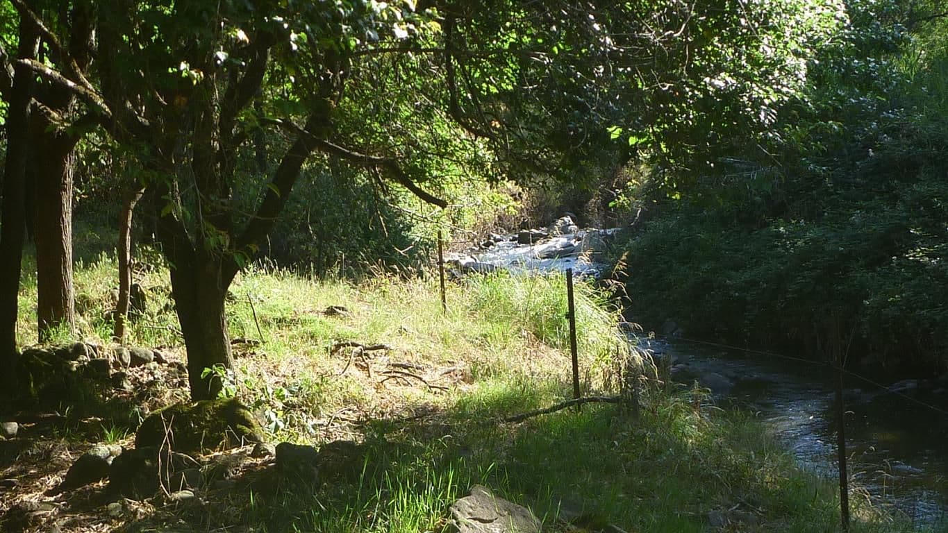 Lot 3 Old Tumbarumba Road, Tumut NSW 2720, Tumut - Thumbnail 8