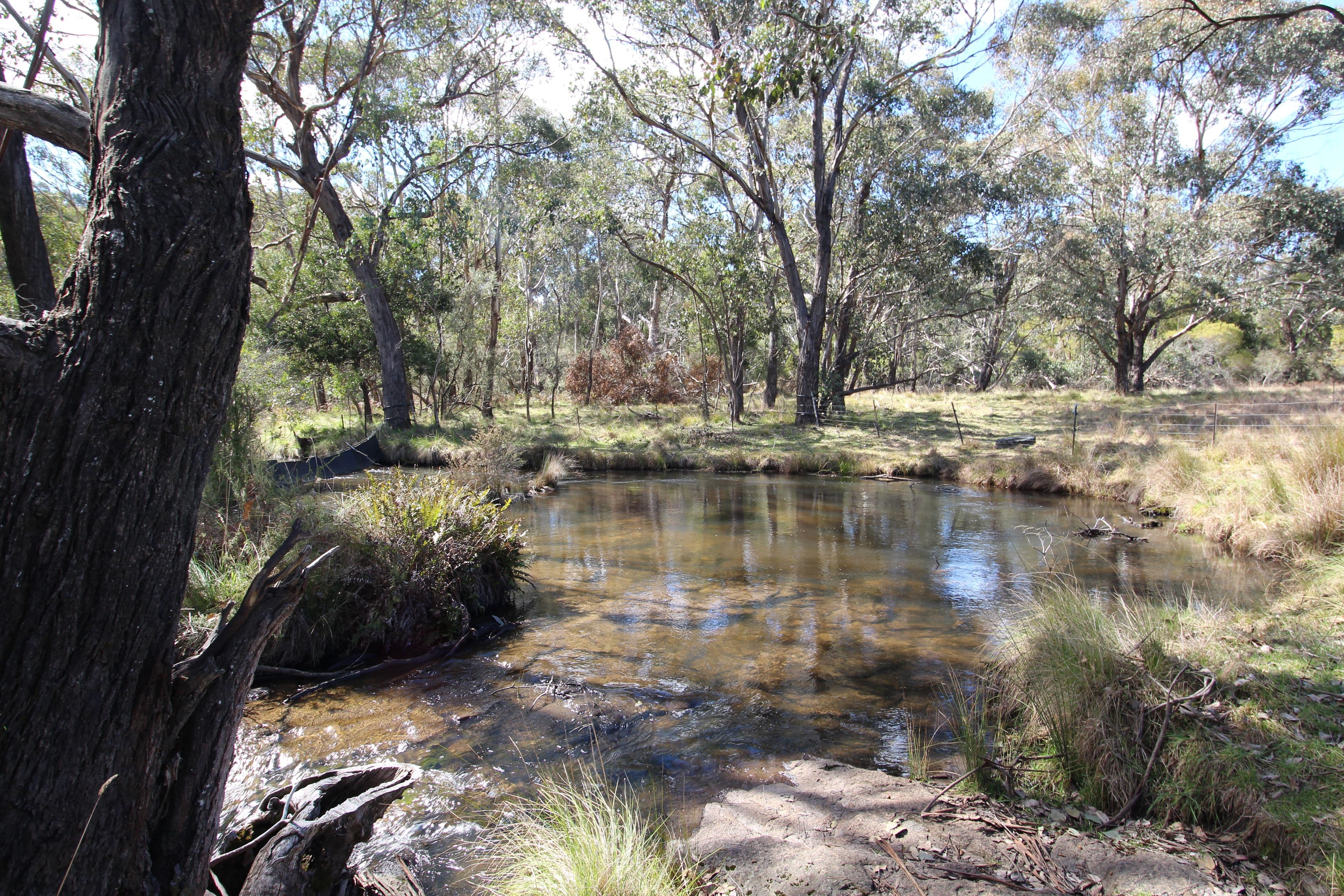 1743 Tooma Road, Paddys River NSW 2653, Paddys River - Image 1