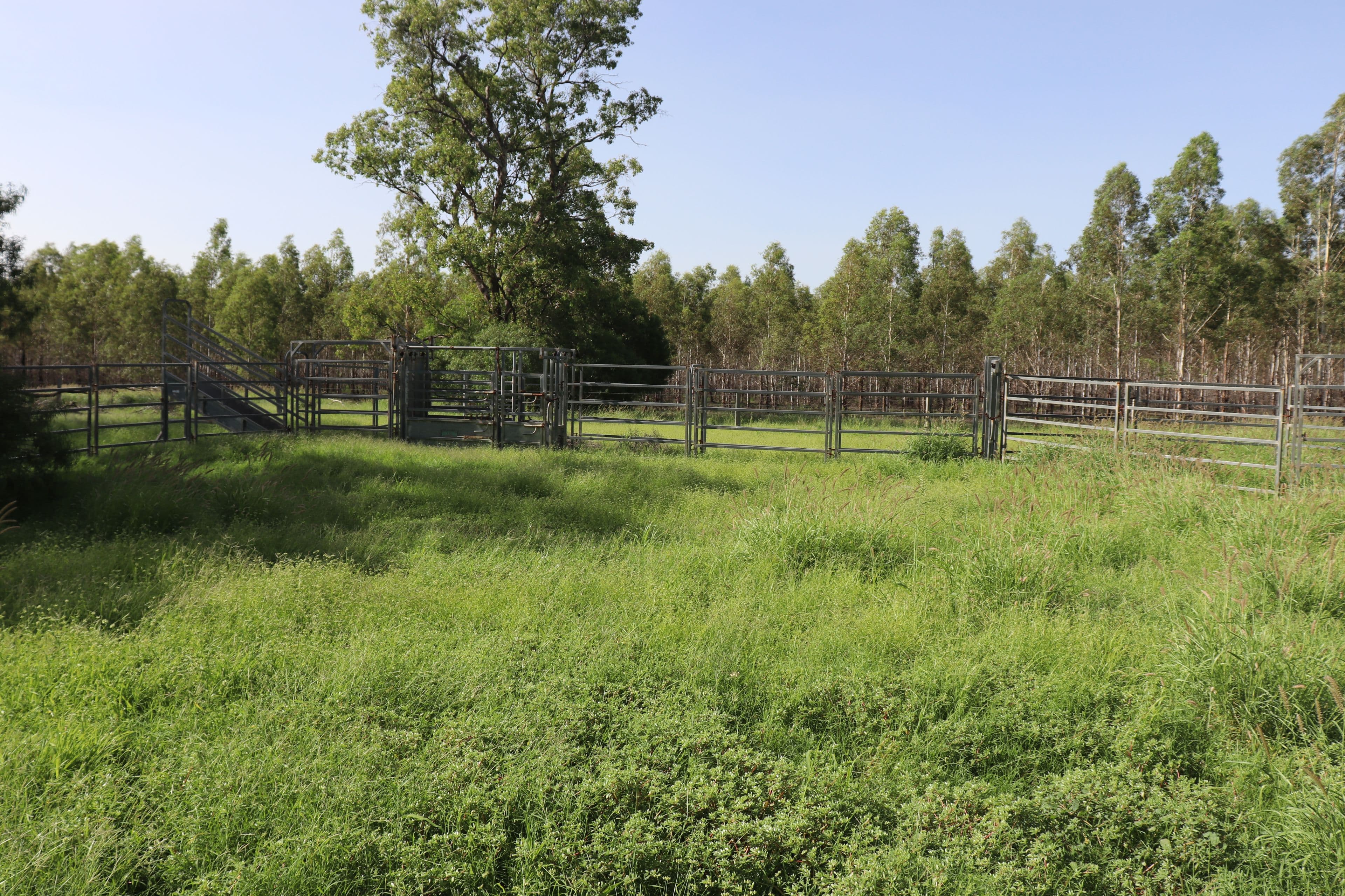 Lot 125 Jinghi Gully Road, Jandowae QLD 4410, Jandowae - Thumbnail 2