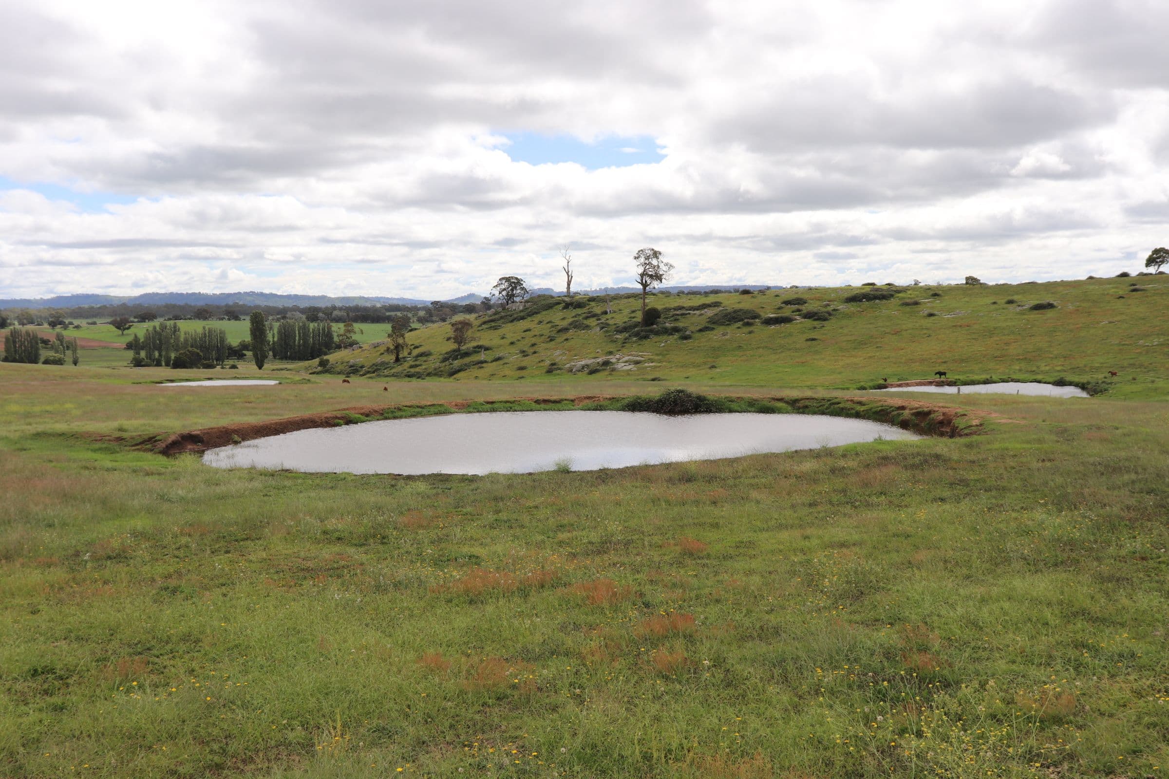 1279 Glen Legh Road, Glen Innes NSW 2370, Glen Innes - Thumbnail 3
