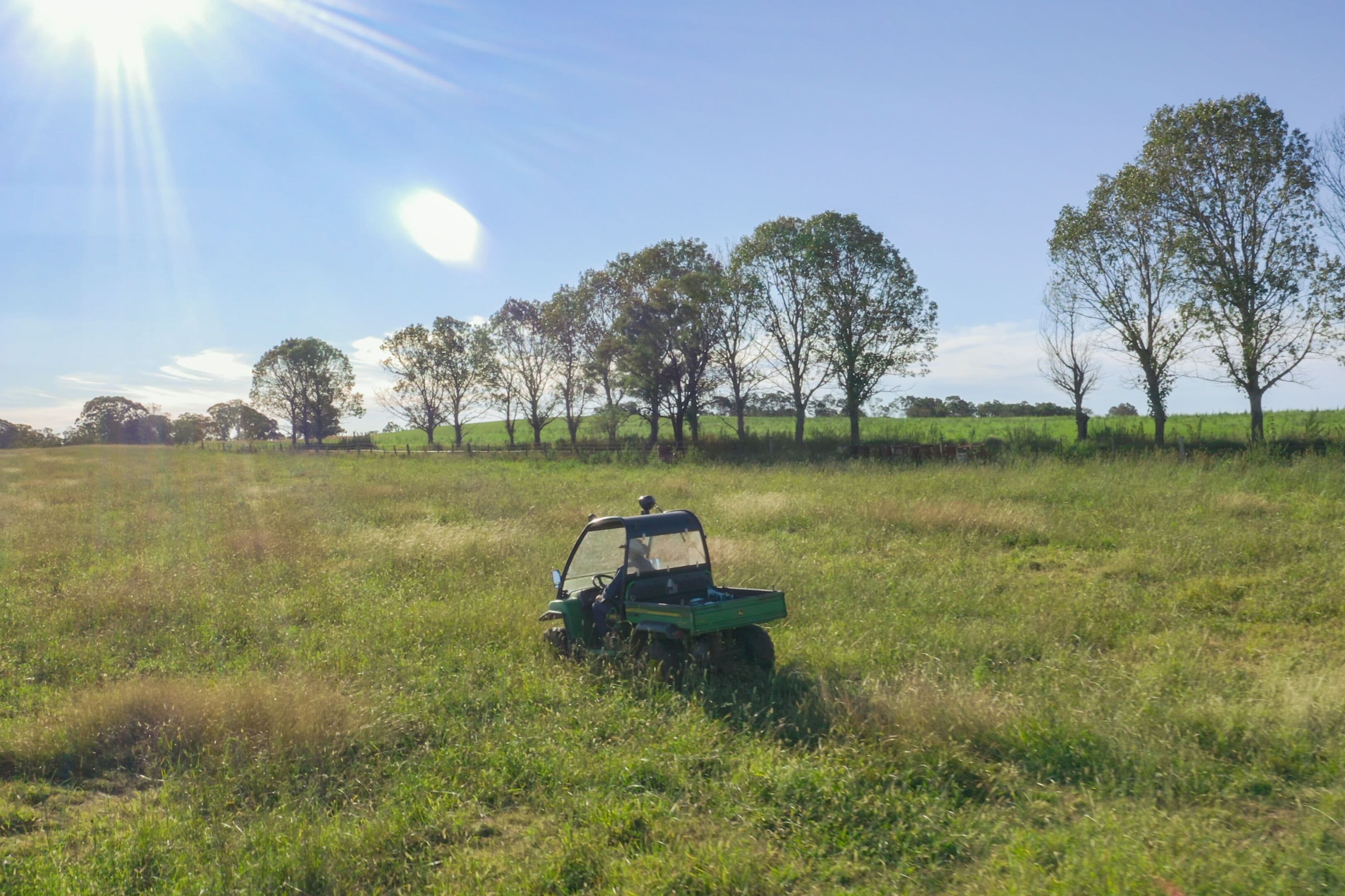 389 Oslo Road, Reddestone NSW 2370, Reddestone - Image 1