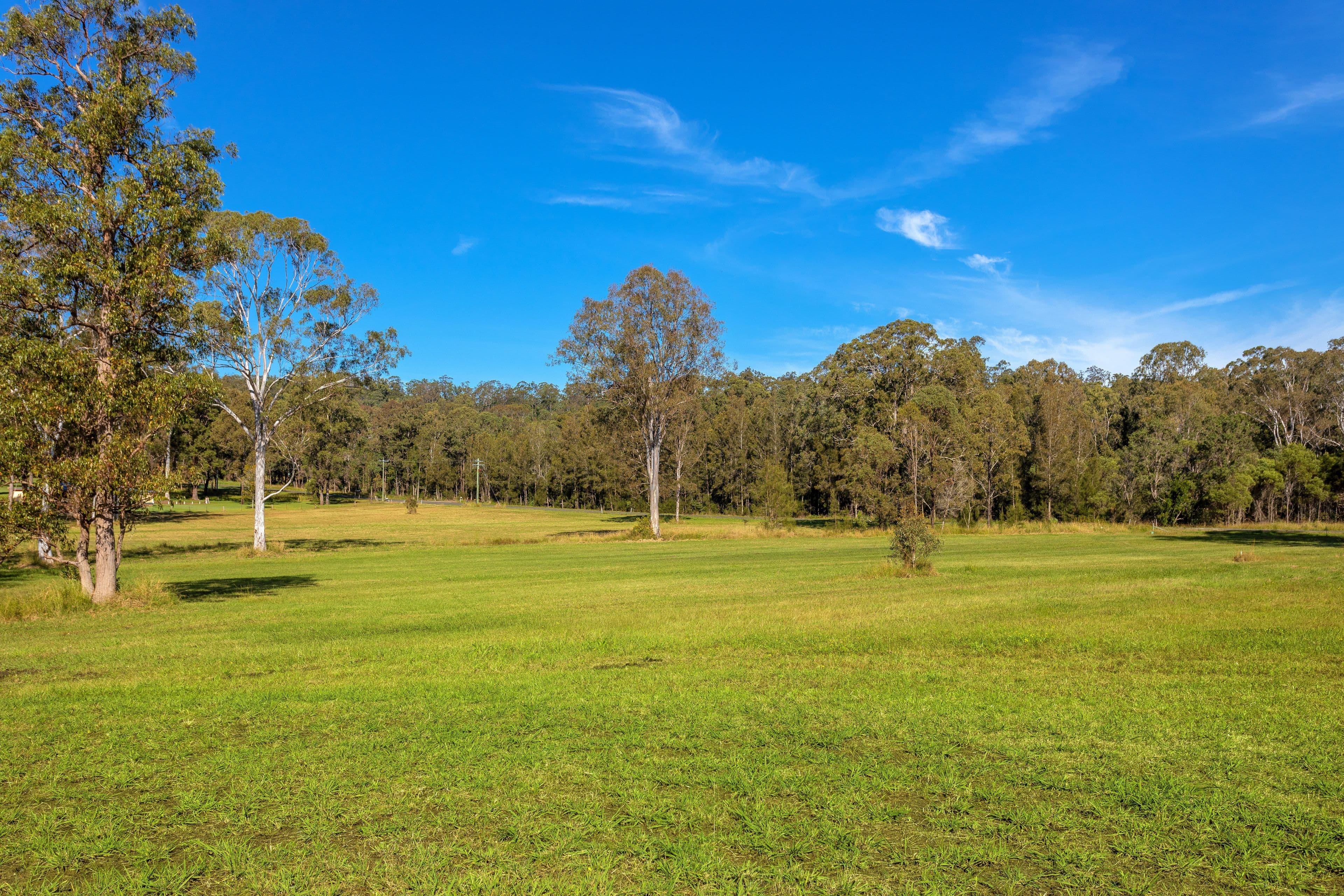 Ranchlands Lot 302, 312 Cedar Party Road, Taree NSW 2430, Taree - Thumbnail 4