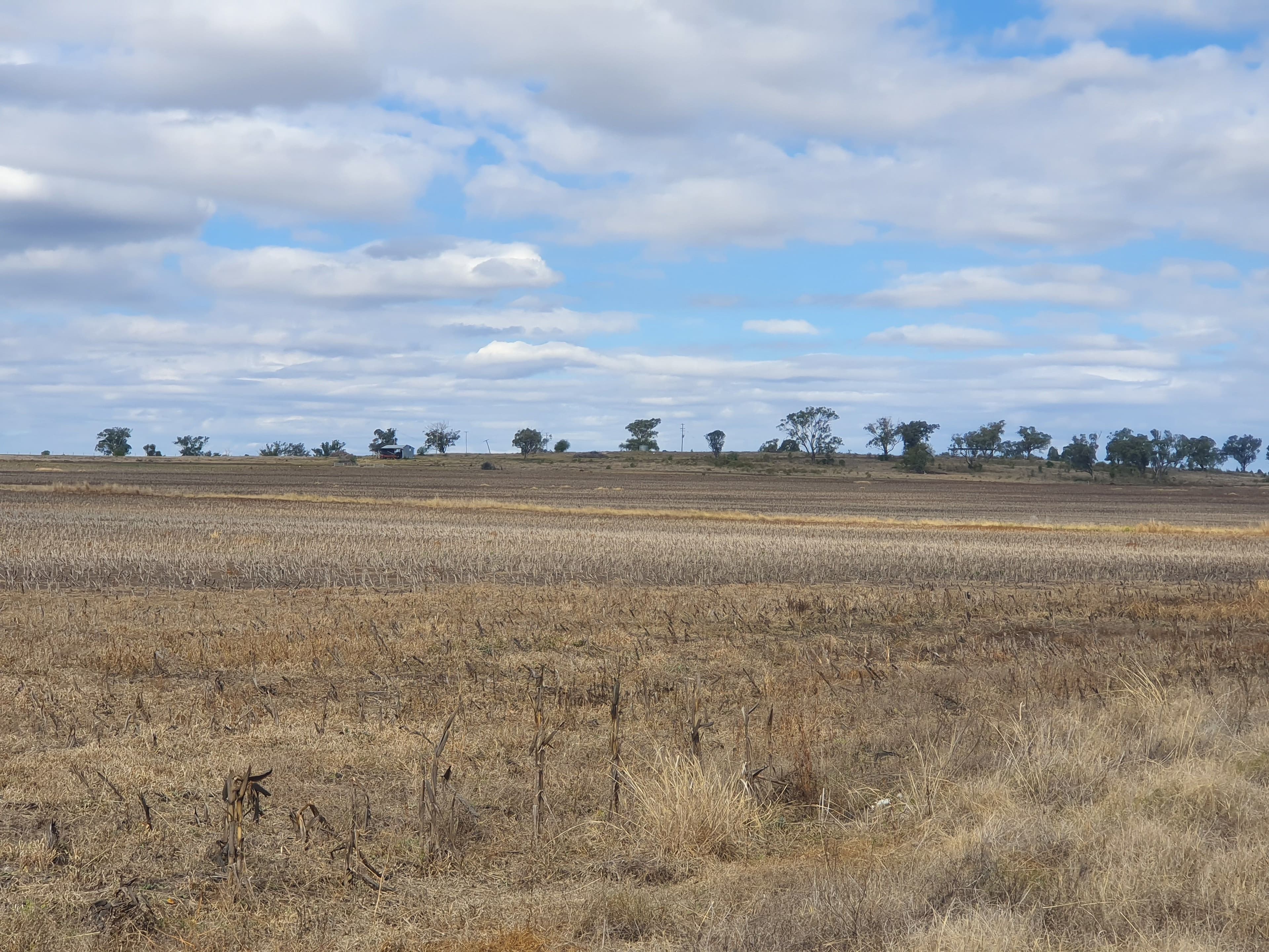 L1 Pechey Maclagan Road, Rosalie Plains QLD 4401, Rosalie Plains - Image 1