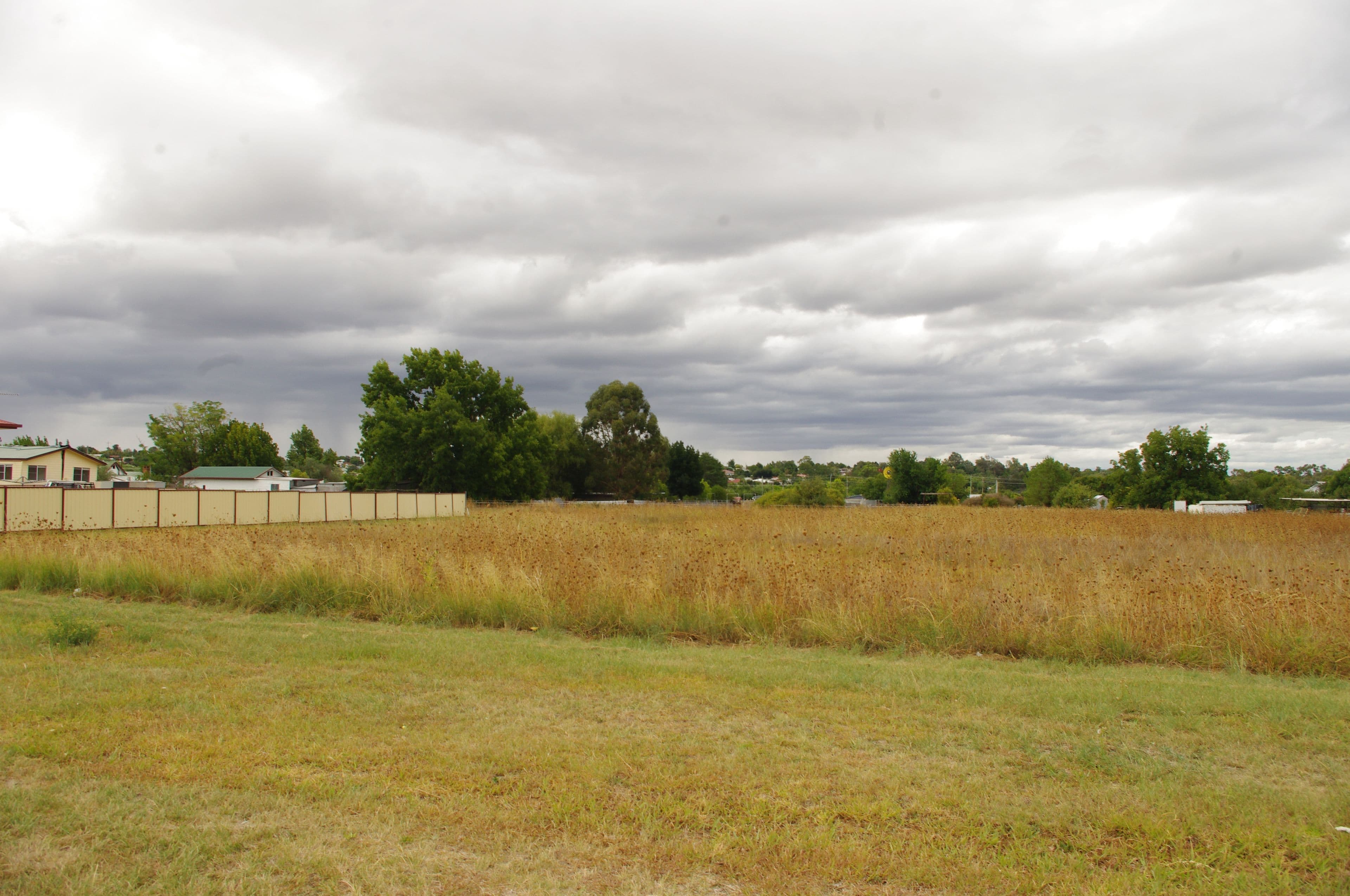49 Wynne Street, Inverell NSW 2360, Inverell - Thumbnail 3