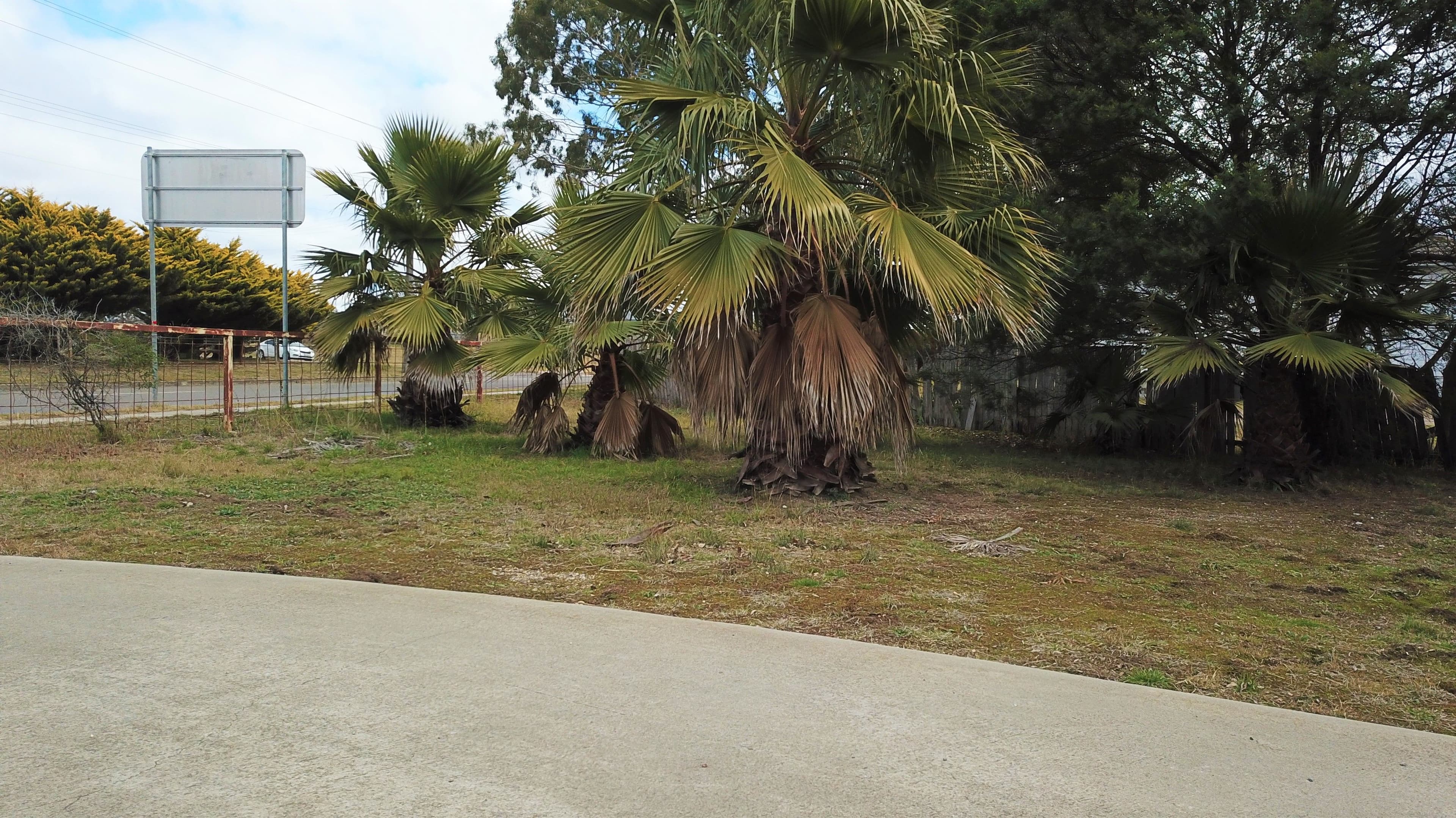 11 Brayton Road, Marulan - Thumbnail 7