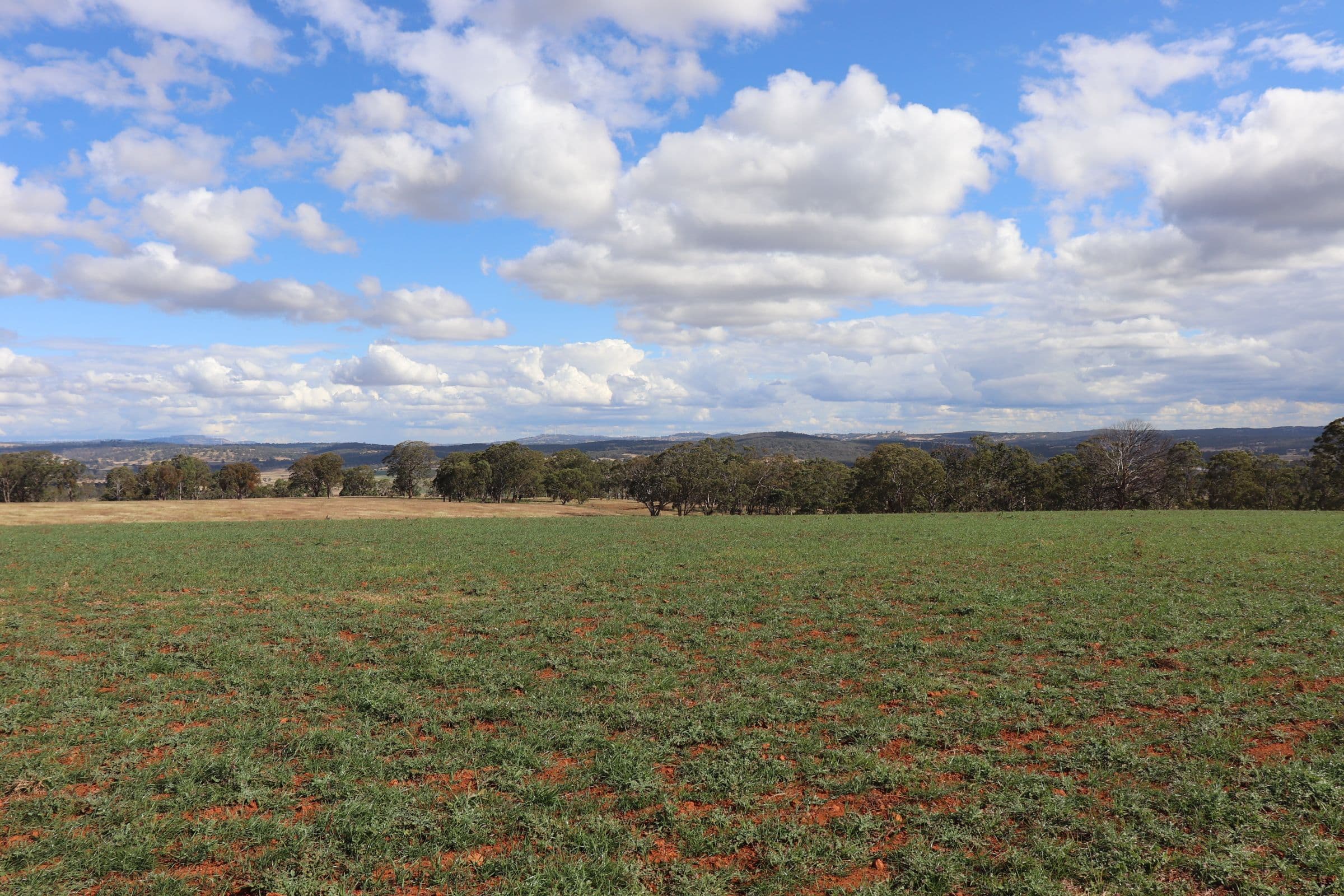 389 Oslo Road, Reddestone NSW 2370, Reddestone - Thumbnail 7