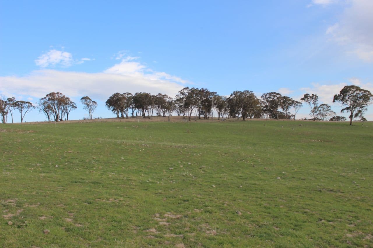 67 Pittman Drive, Browns Creek NSW 2799, Browns Creek - Thumbnail 5