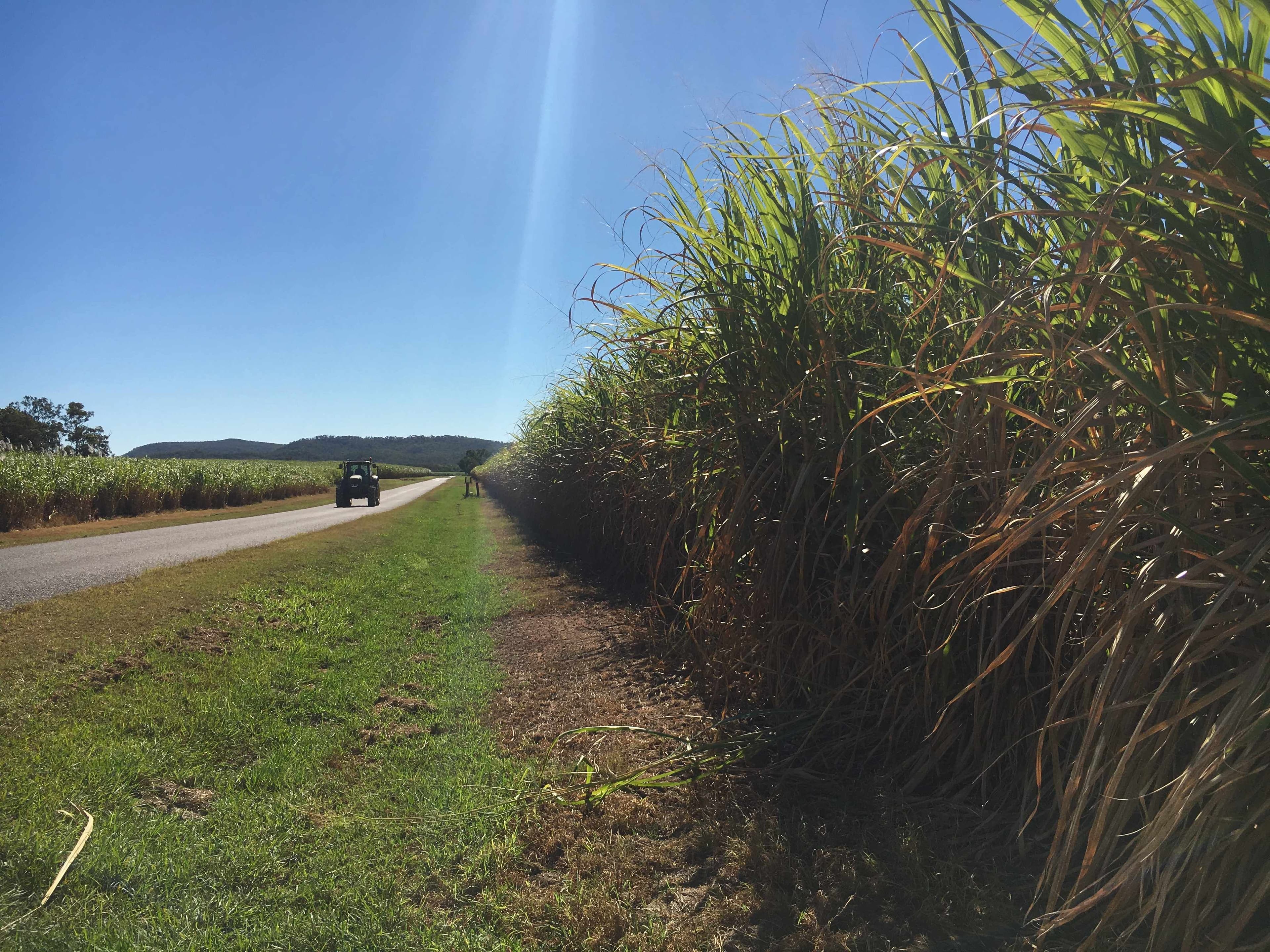 80 Cone Creek Road, Koumala QLD 4738, Koumala - Thumbnail 2