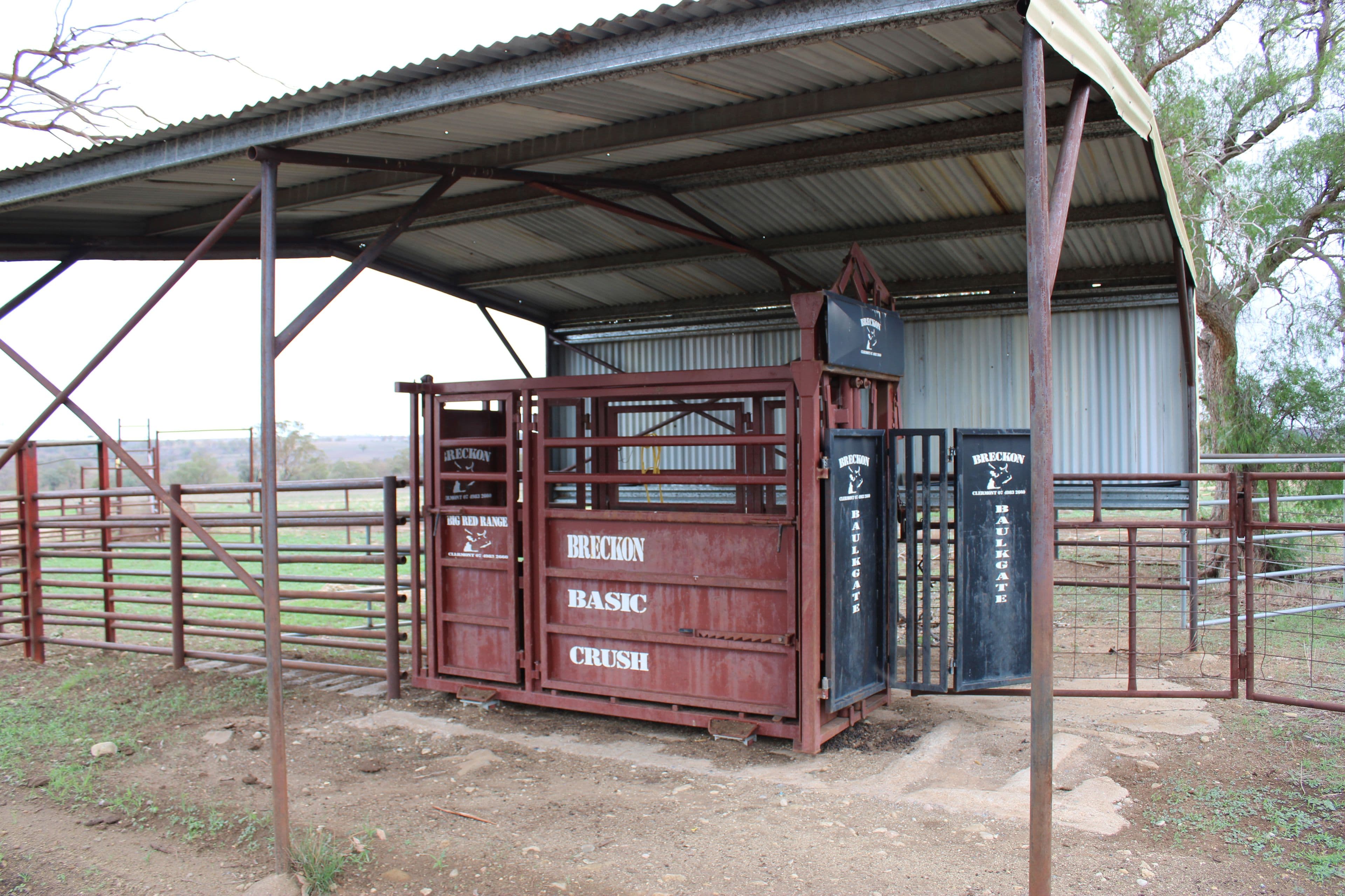 Inverell NSW 2360, Inverell - Thumbnail 3