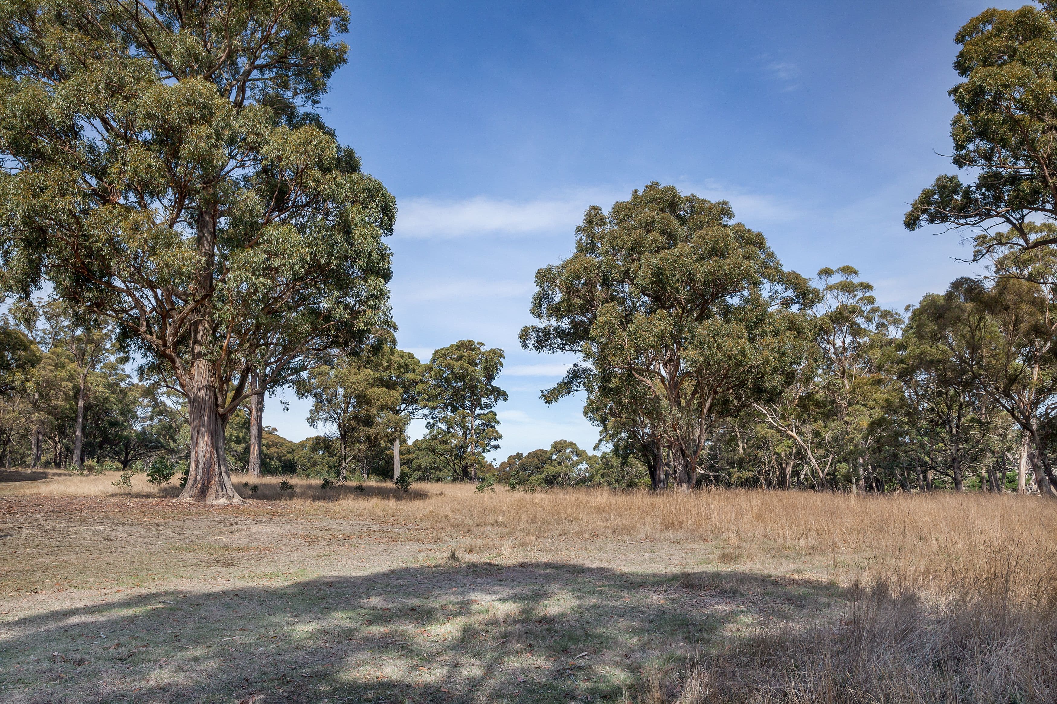 Lots 1 & 2 Yankee Flat Road, Mount Helen  Victoria  3350, Australia, Mount Helen - Thumbnail 5