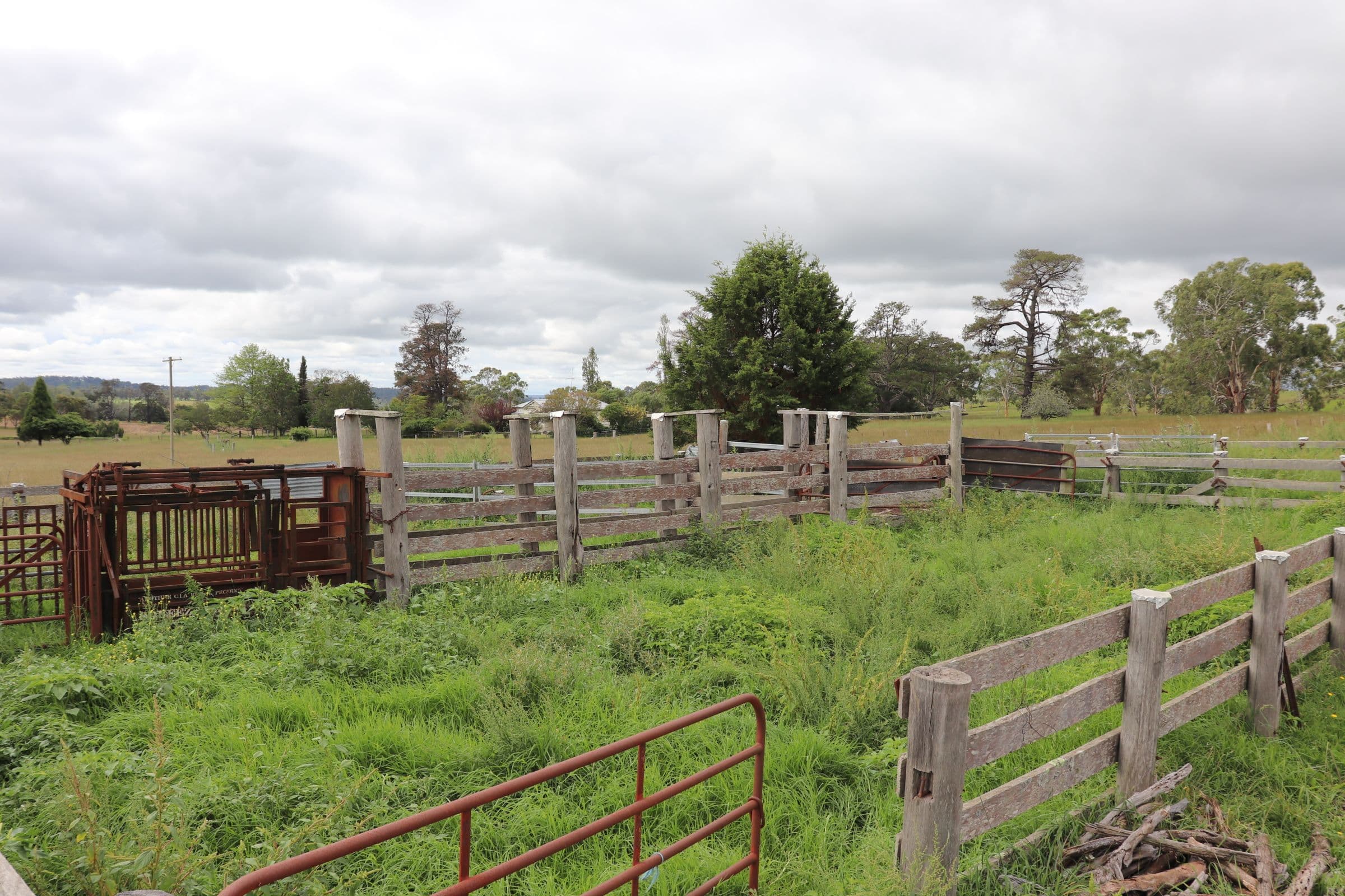 1279 Glen Legh Road, Glen Innes NSW 2370, Glen Innes - Thumbnail 4
