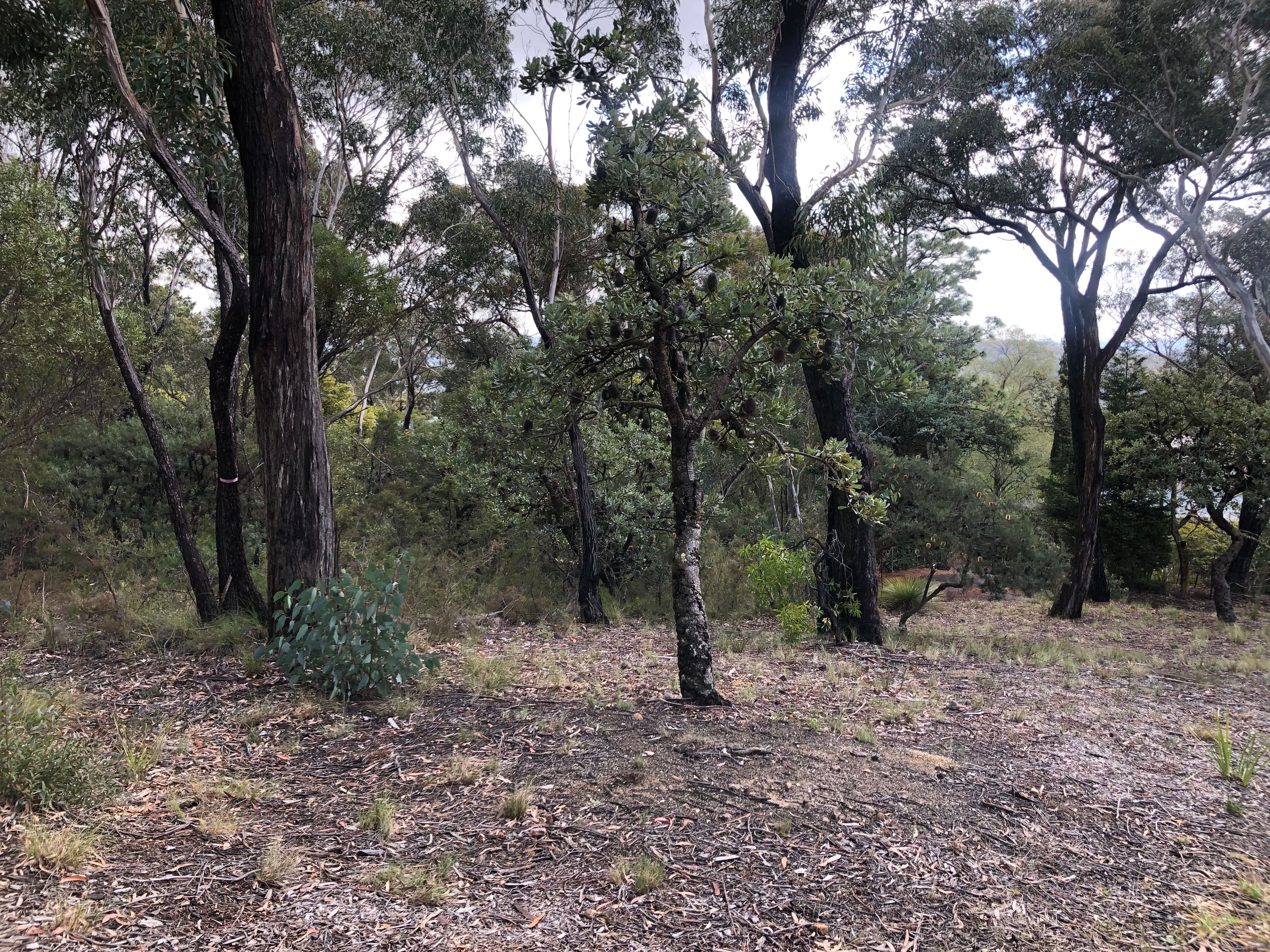 25 Innes Road, Mount Victoria NSW 2786, Mount Victoria - Thumbnail 7