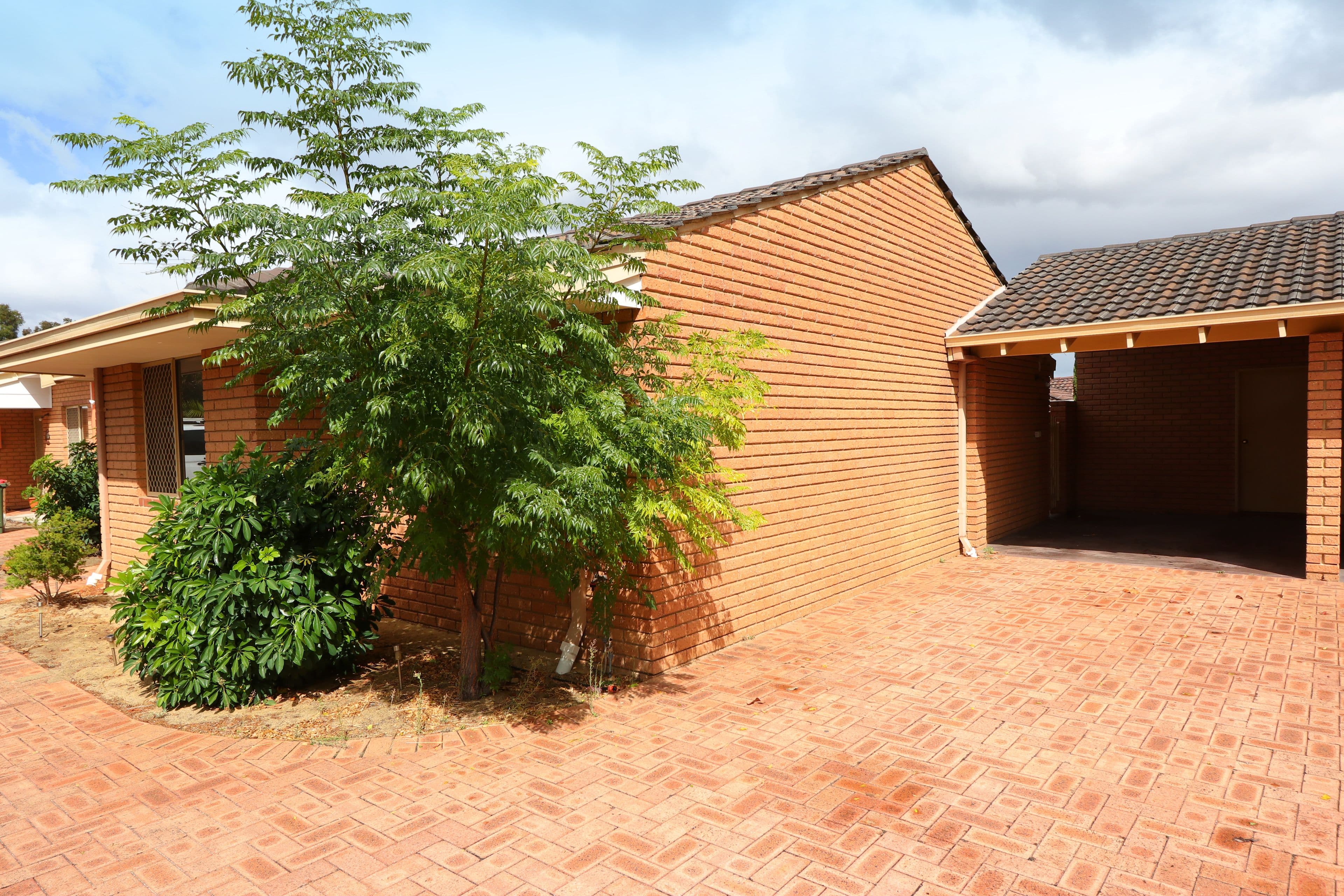 58 Camden Street, Dianella WA 6059, Dianella - Thumbnail 4