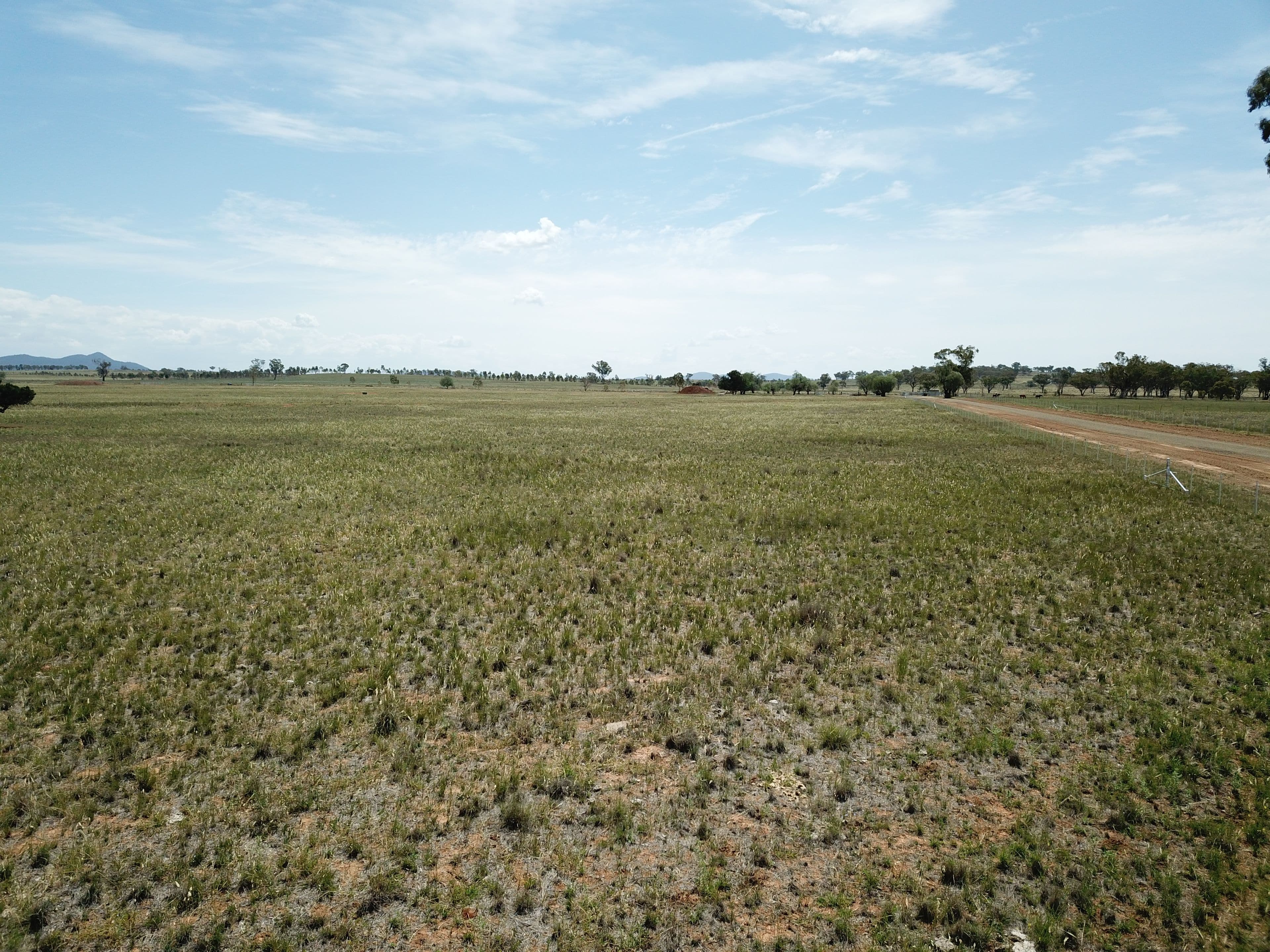 Lot 102, 63 Phillip Lane, Tamworth NSW 2340, Tamworth - Thumbnail 6