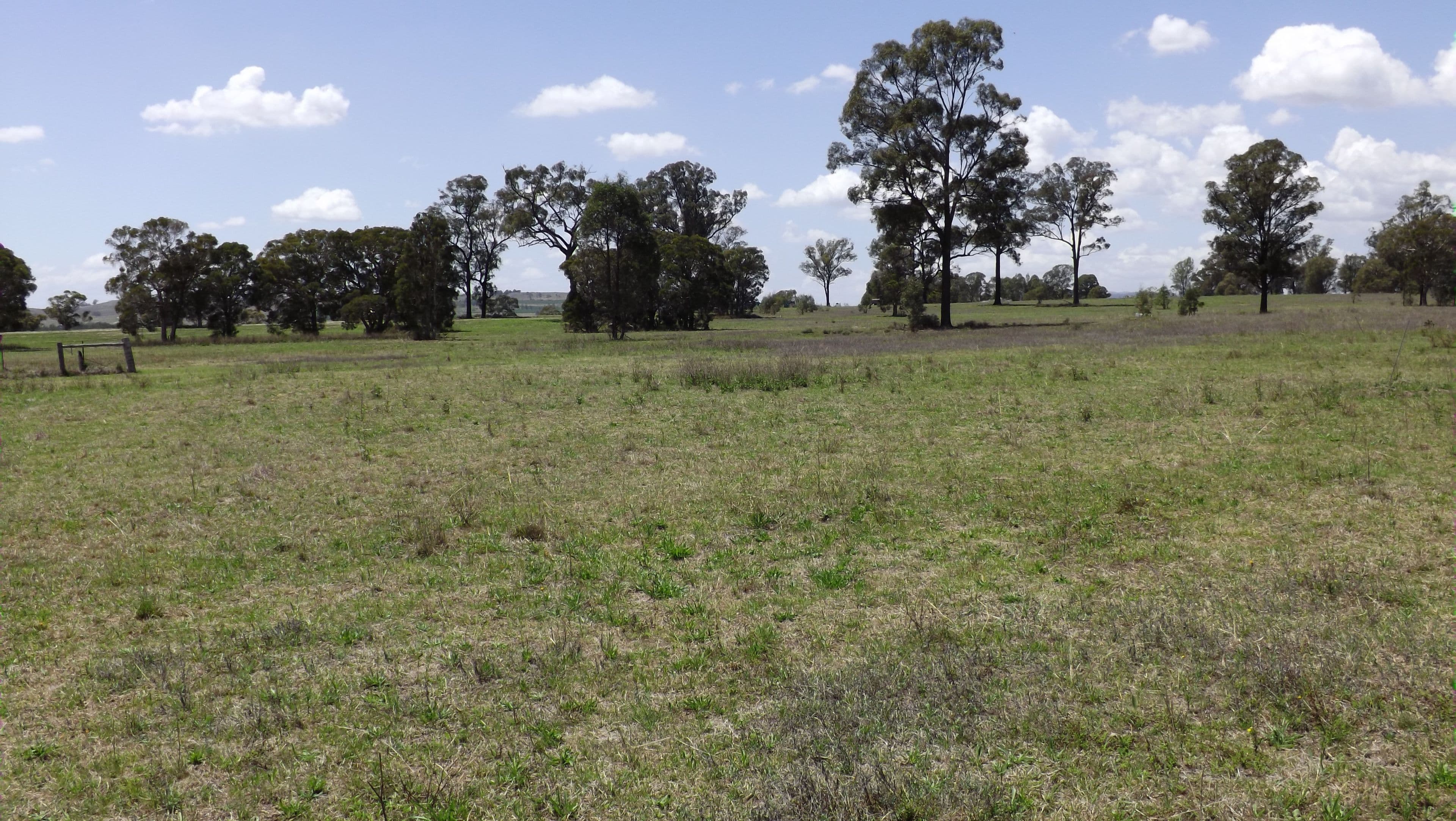 153 Milbrodale Road, Milbrodale NSW 2330, Milbrodale - Thumbnail 6
