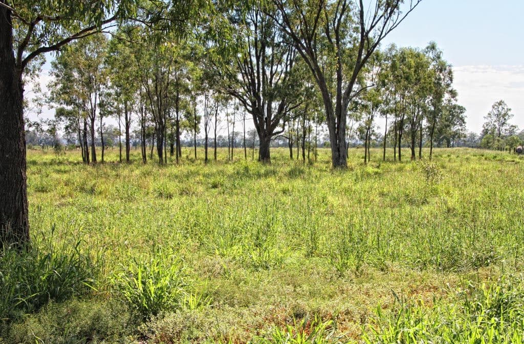 43276 Burnett Highway, Jambin QLD 4702, Jambin - Thumbnail 4