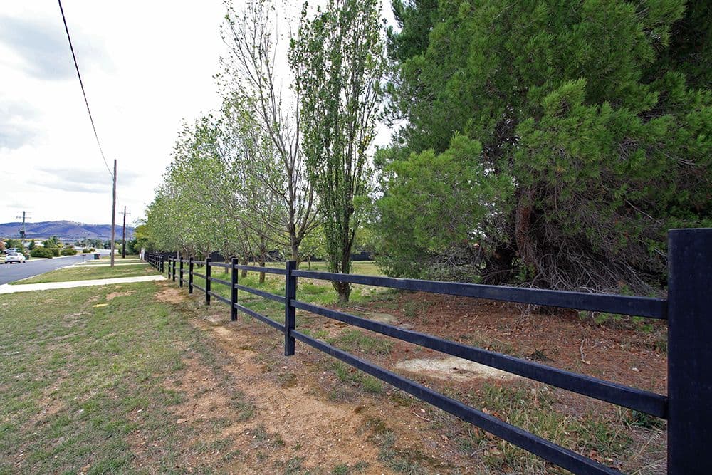 85 Trucking Yard Lane, Bungendore NSW 2621, Bungendore - Thumbnail 3