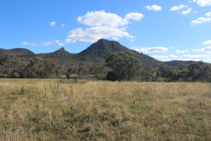 " Wilga Valley", Edgeroi NSW 2390, Edgeroi - Thumbnail 6