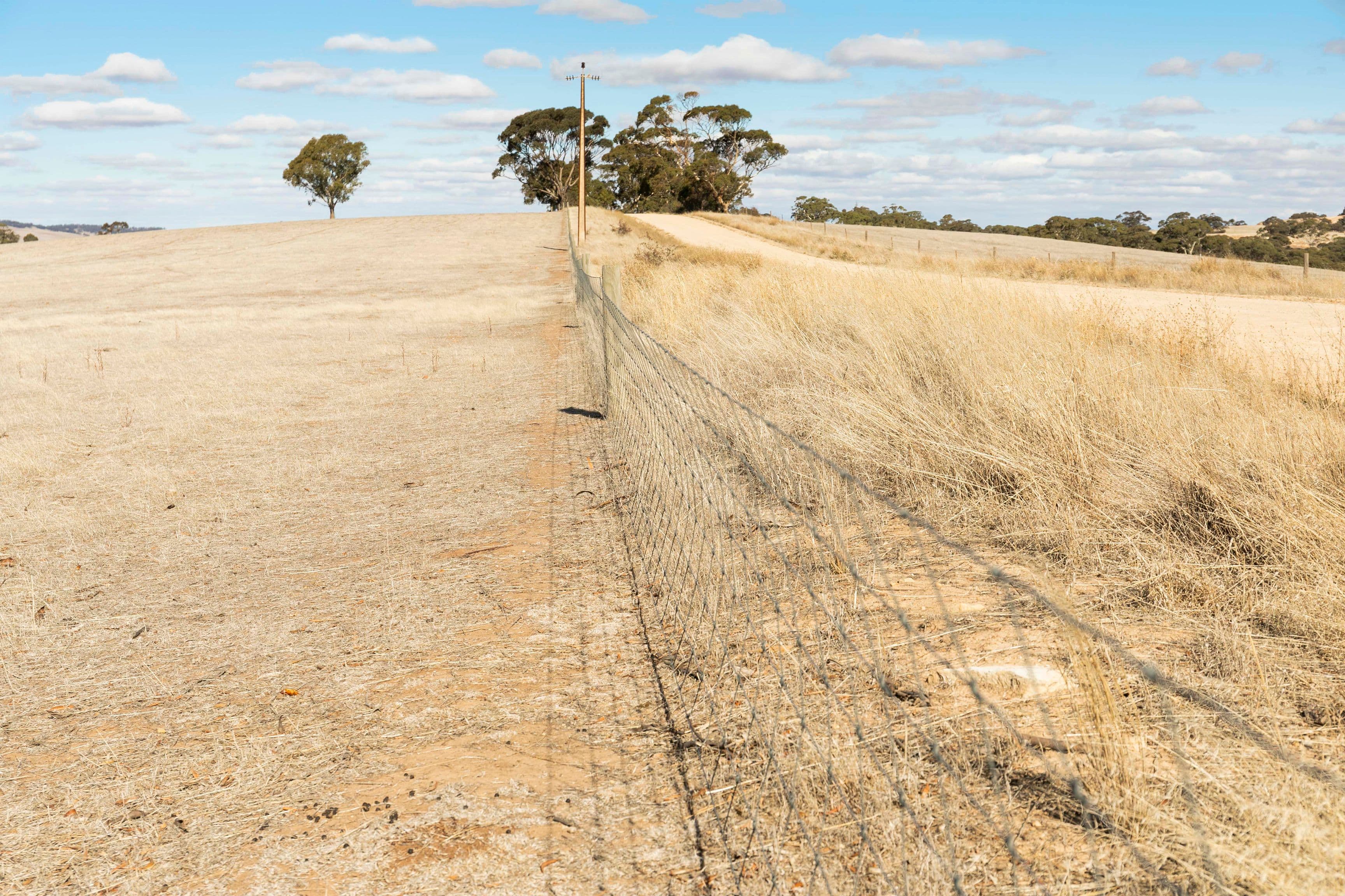 'Roselynn' 119 Bowmans Road, Manoora SA 5414, Manoora - Thumbnail 3