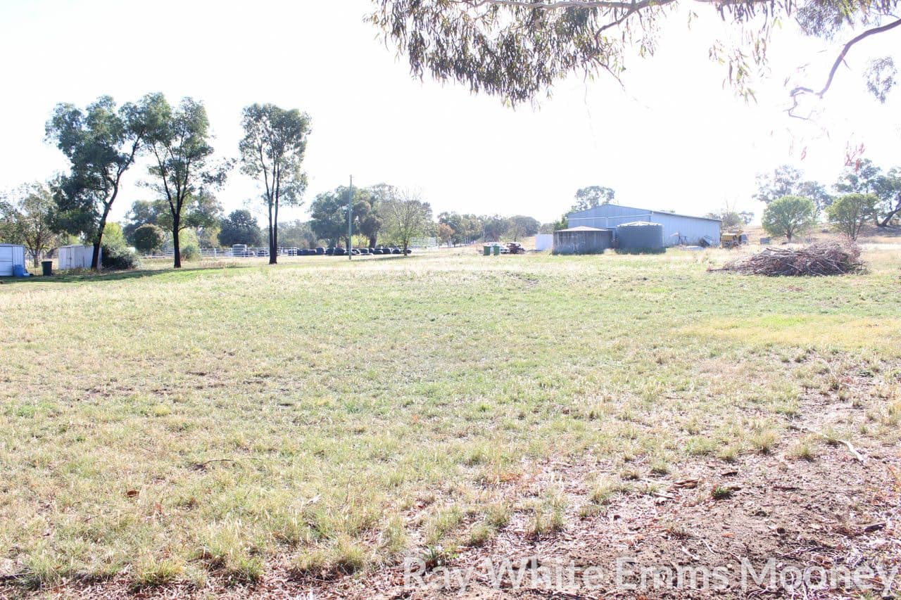 3803 The Escort Way, Cudal NSW 2864, Cudal - Thumbnail 2