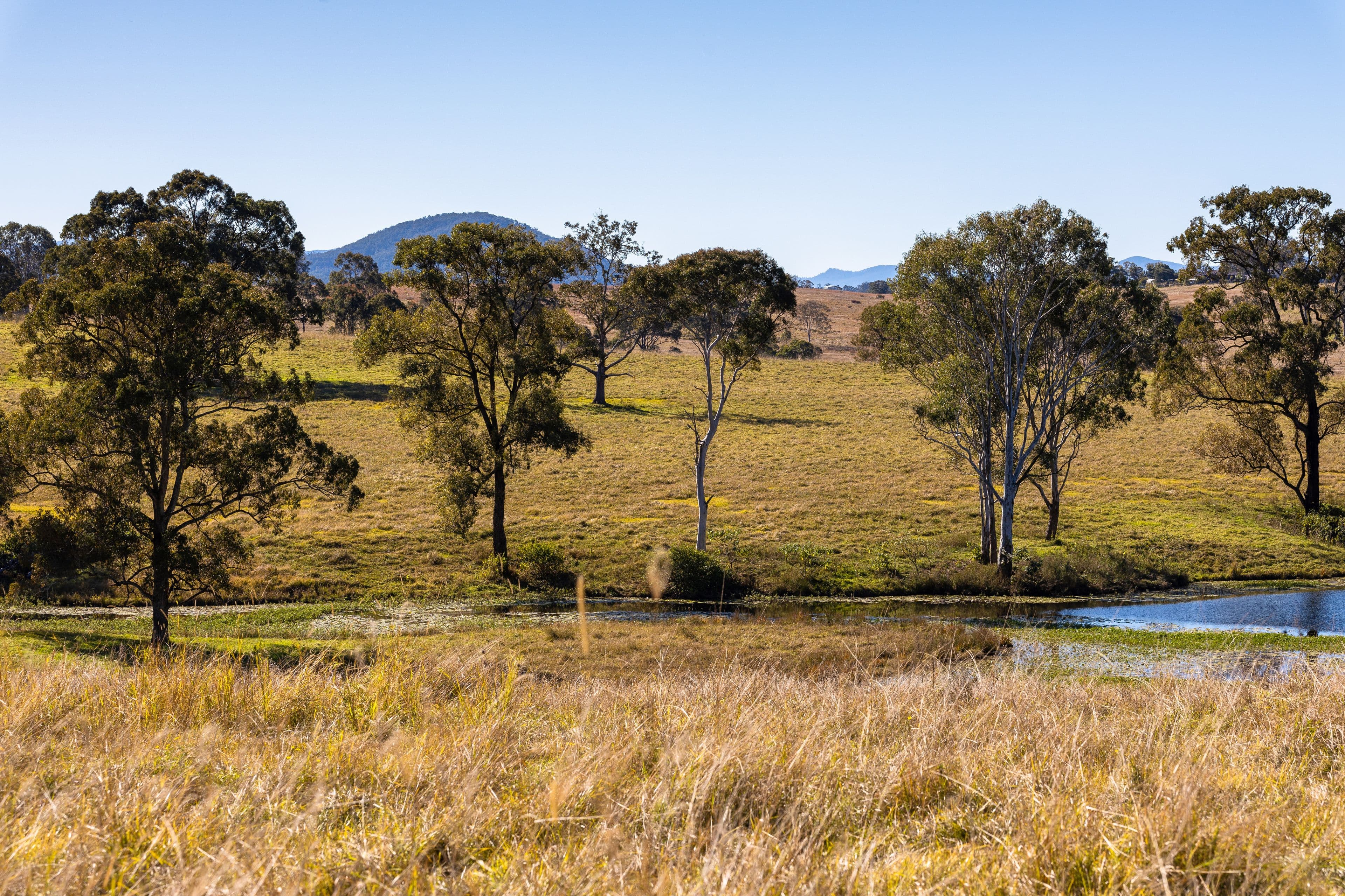 58 Nowendoc Road, Killawarra NSW 2429, Killawarra - Thumbnail 3