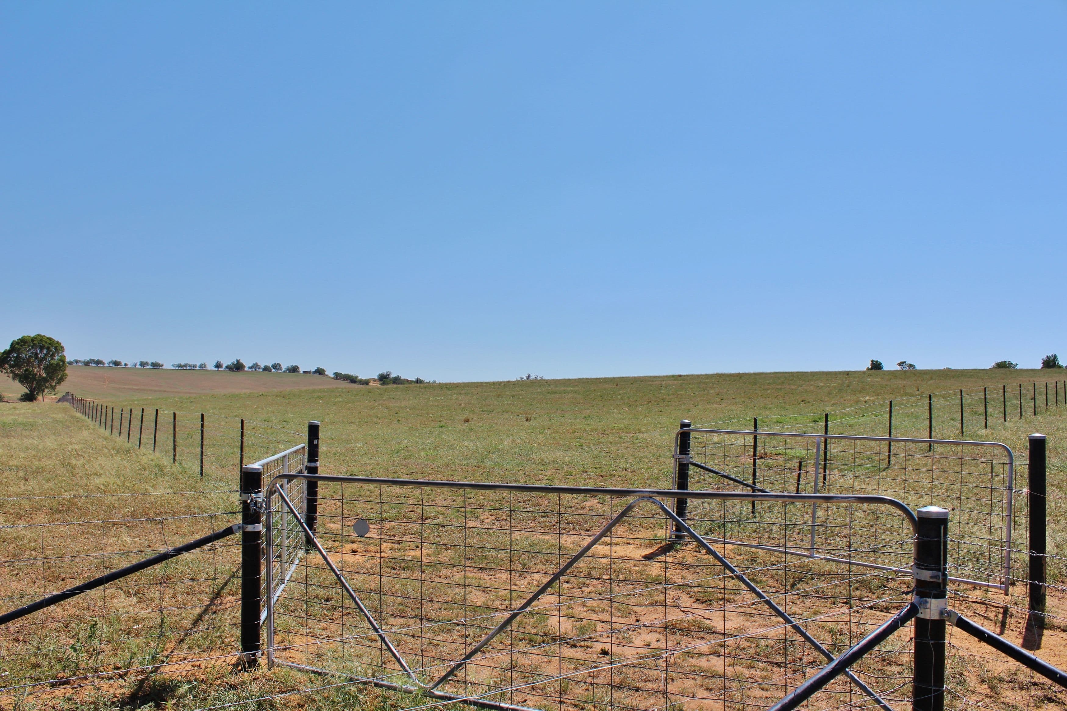 179 Wirrimah Road Greenethorpe, via, Young NSW 2594, Young - Thumbnail 7