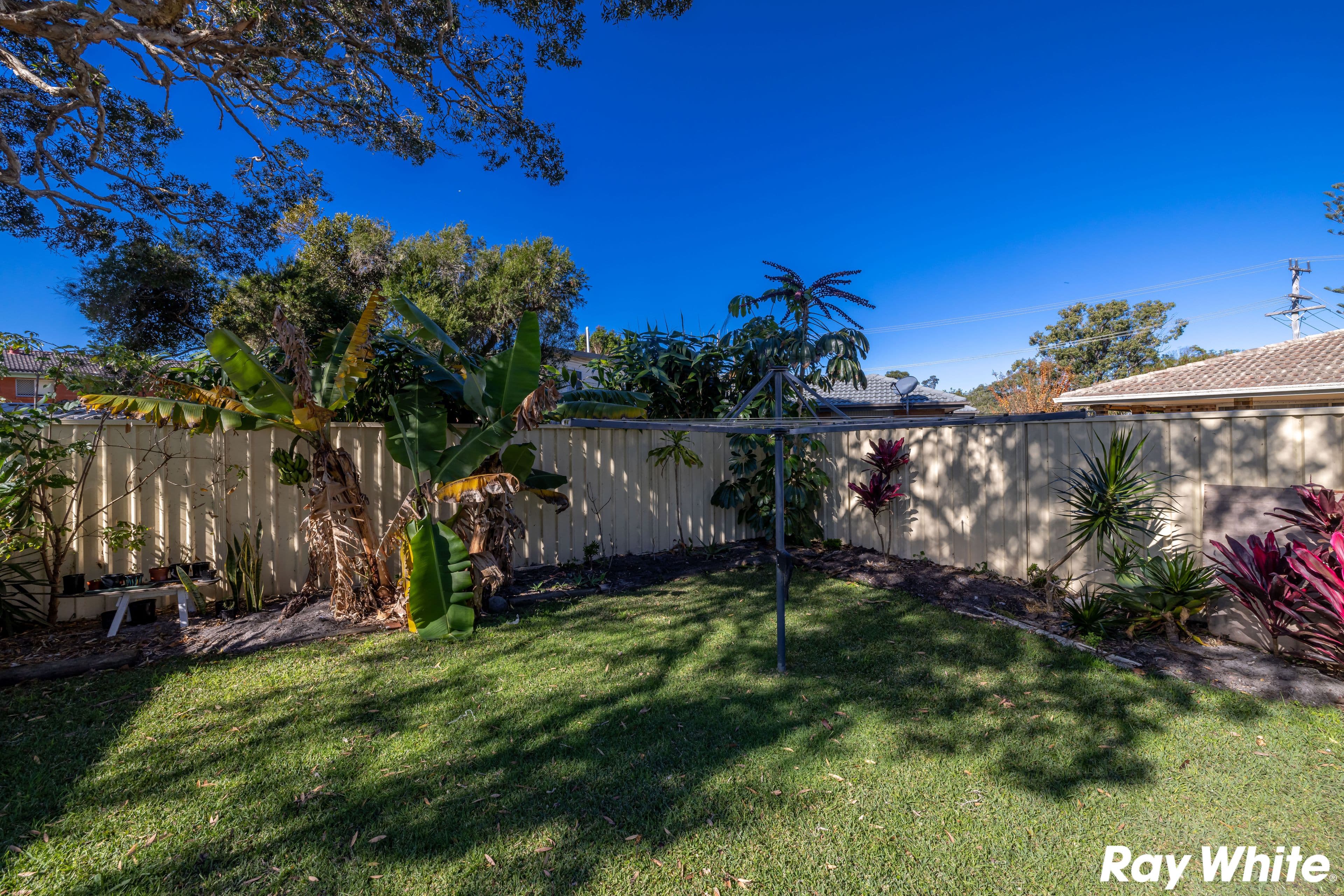 16 & 18 MacIntosh Street, Forster NSW 2428, Forster - Thumbnail 3