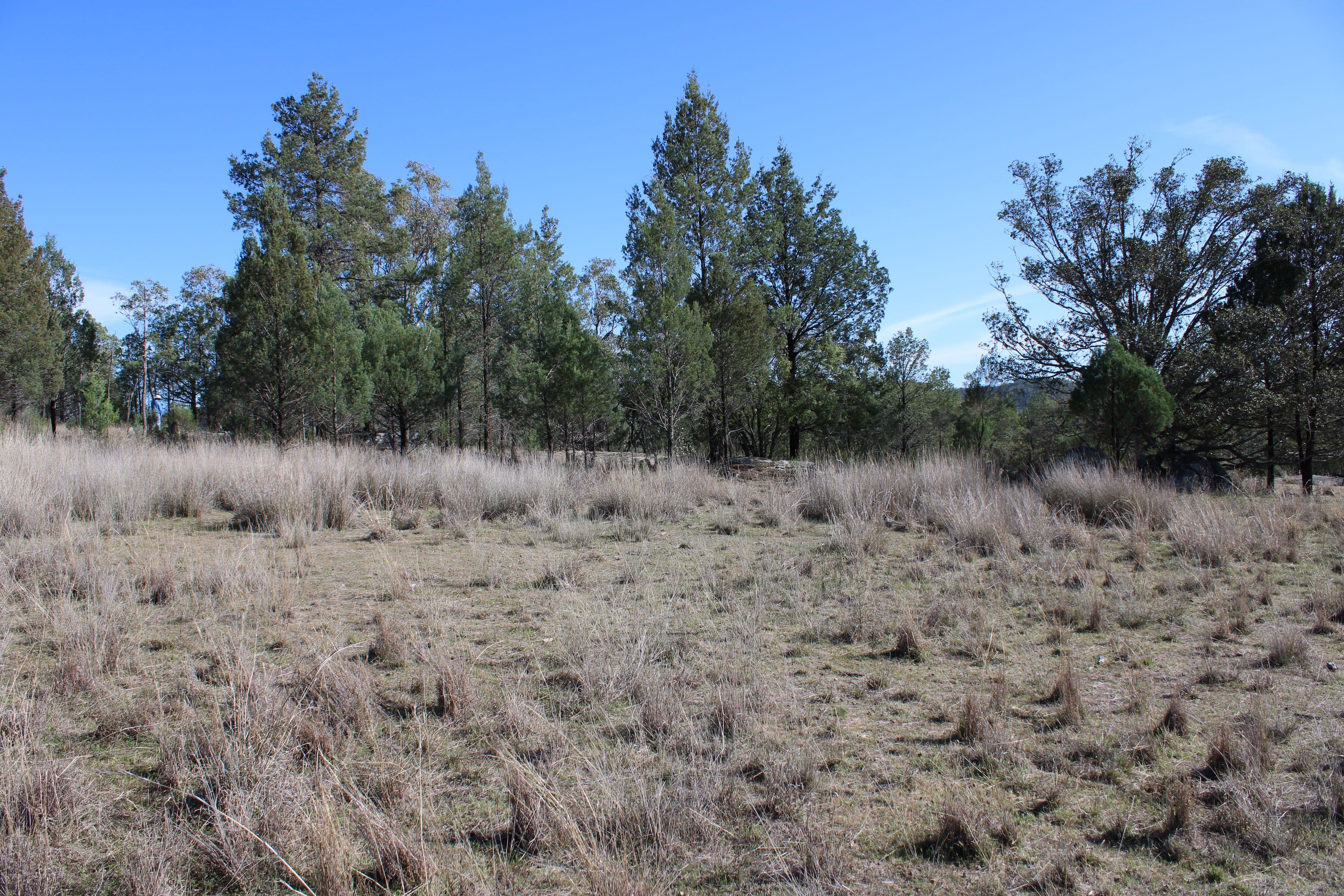 Inverell NSW 2360, Inverell - Thumbnail 6