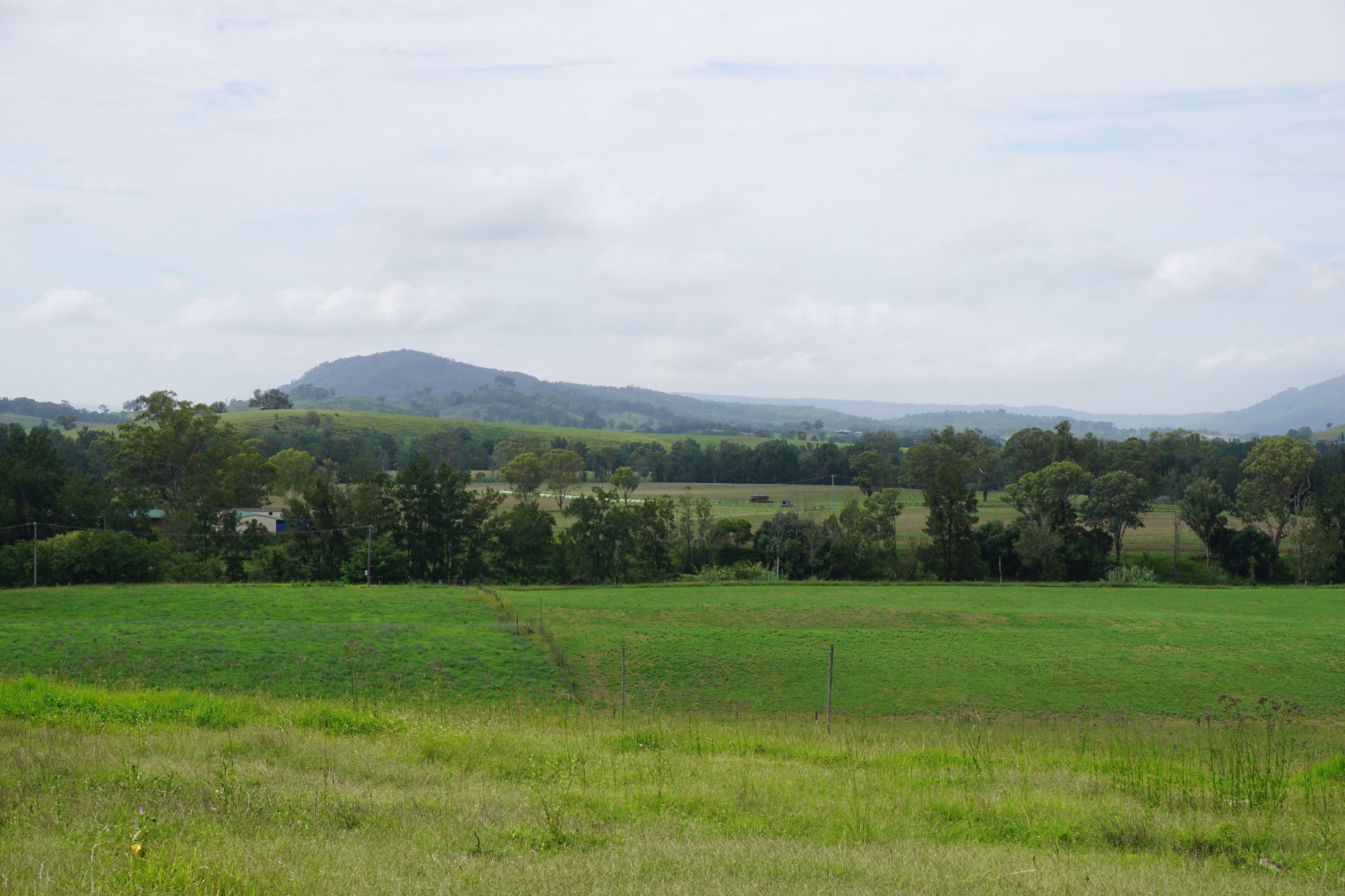 2484 Glendonbrook Road, Gresford NSW 2311, Gresford - Image 1