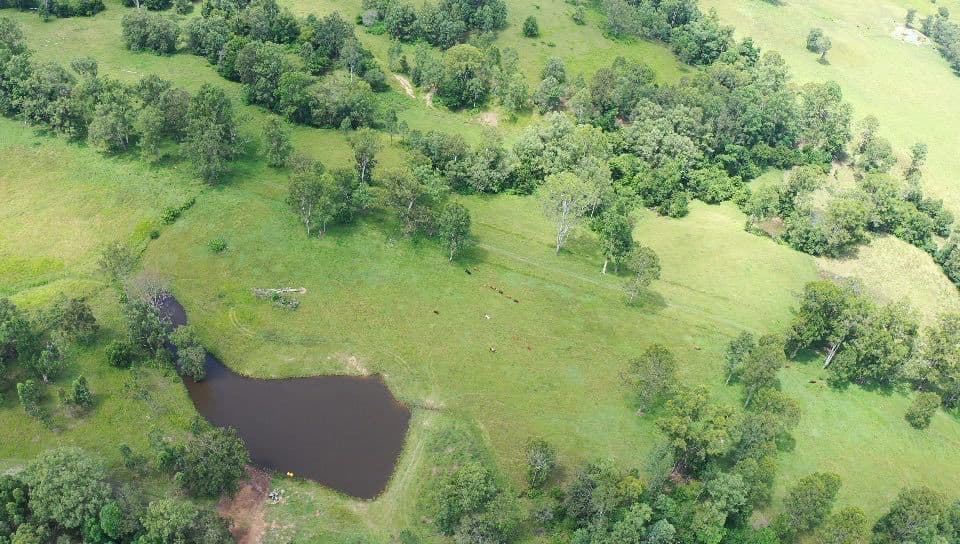 58 Babyl Creek, Babyl Creek NSW 2470, Babyl Creek - Image 1