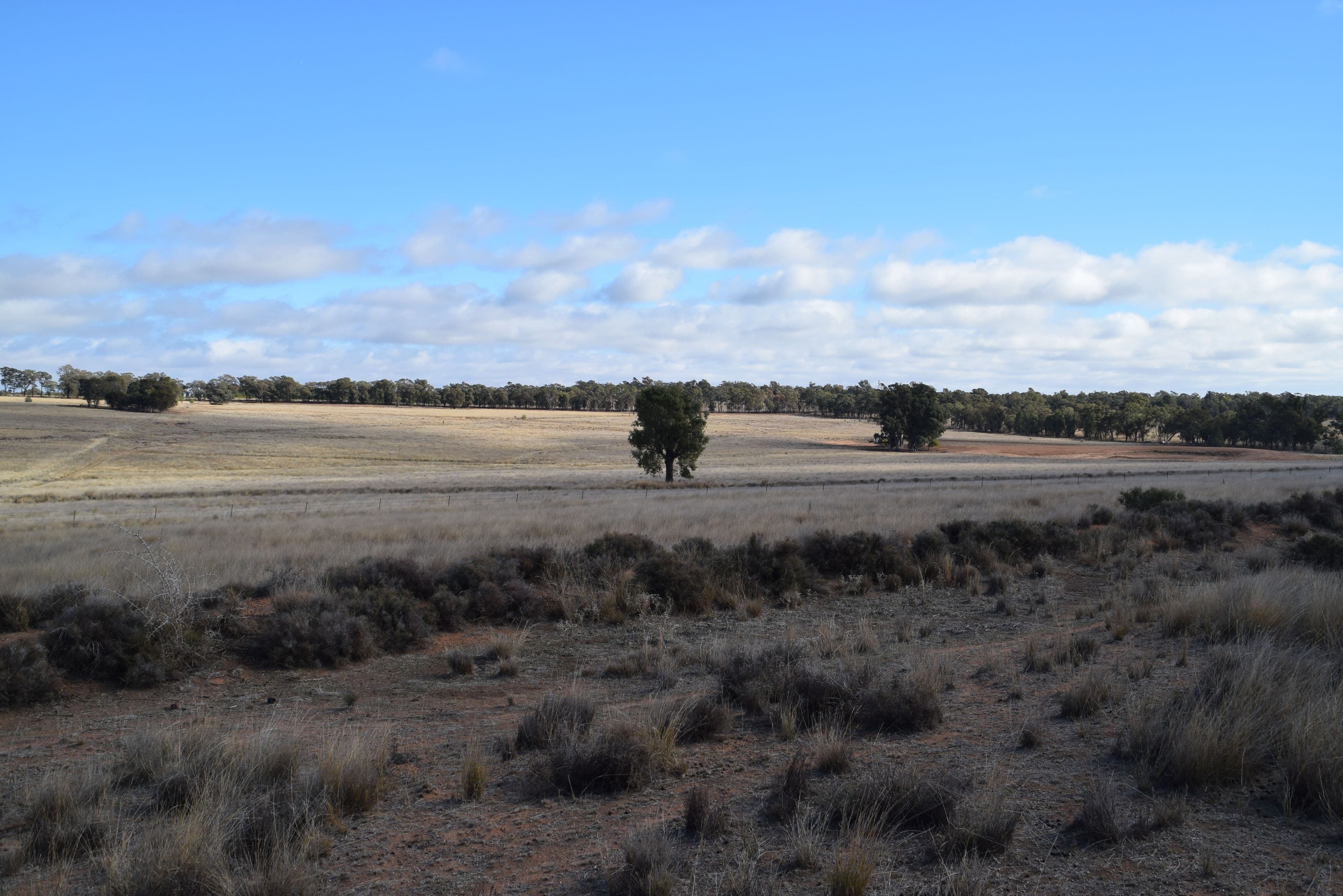 10R Buddens Road, Dubbo NSW 2830, Dubbo - Image 1