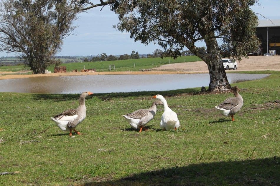 Summerfield at Quartermaine Road, KATANNING WA 6317, Katanning - Thumbnail 5