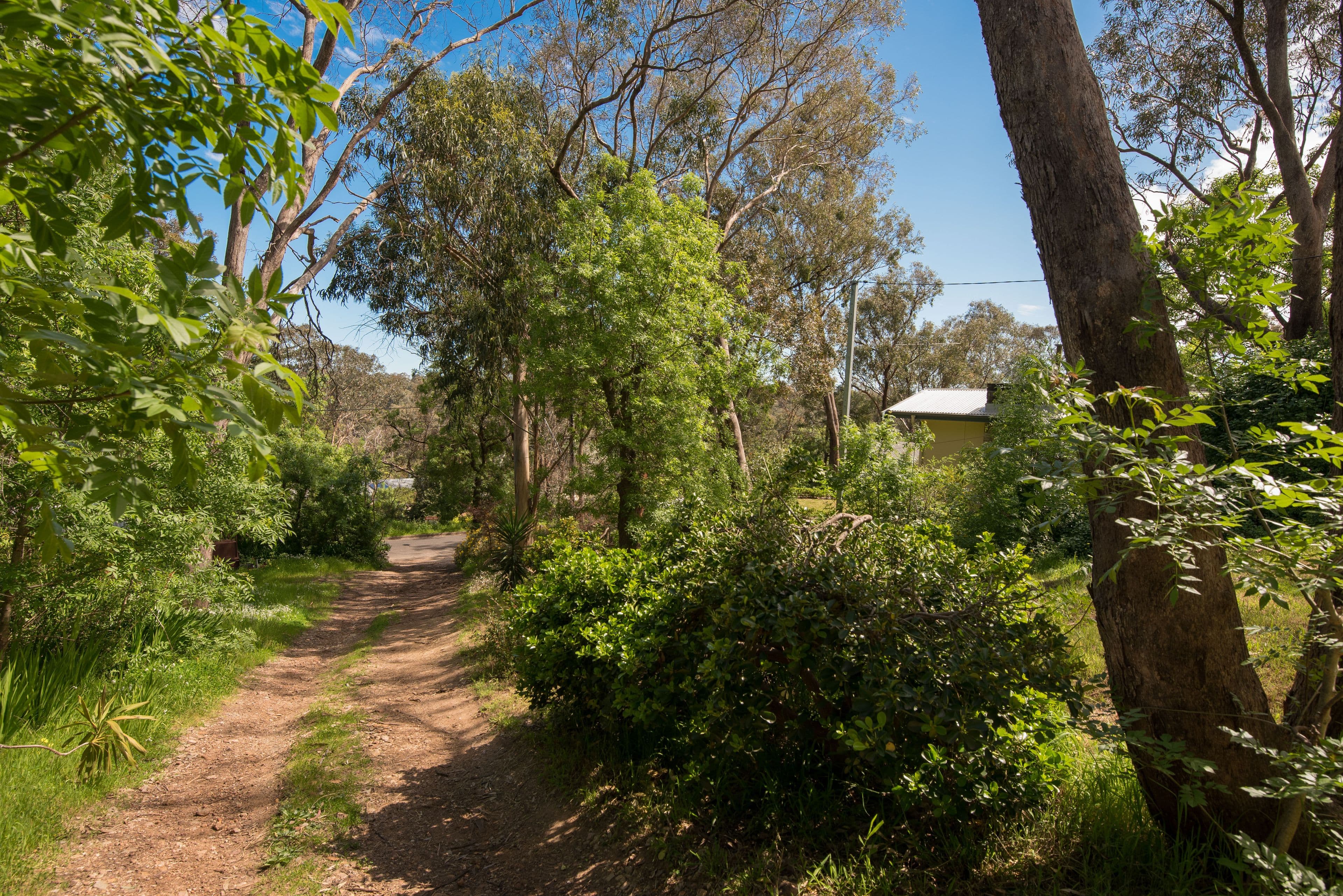22 Mulga Road, Hawthorndene SA 5051, Hawthorndene - Thumbnail 3