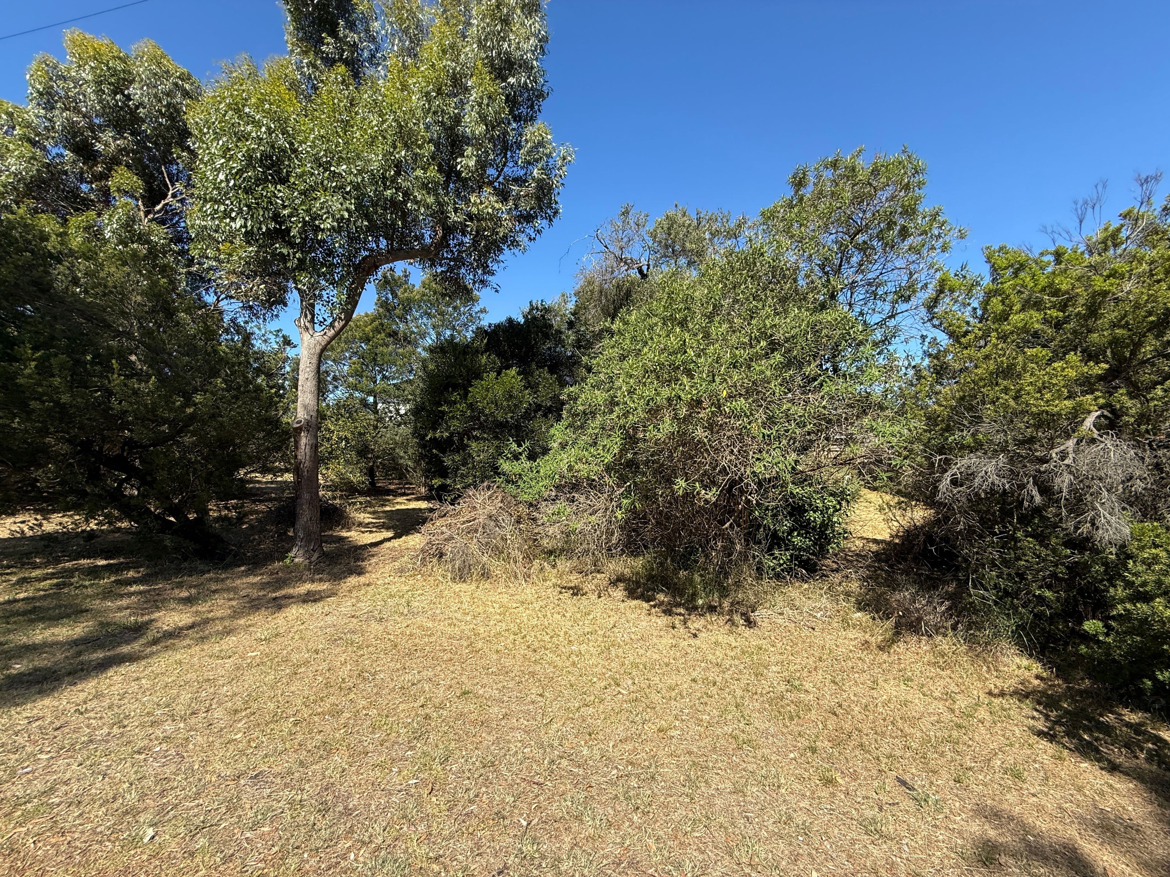 105 Swans Way, Capel Sound VIC 3940, Capel Sound - Thumbnail 6