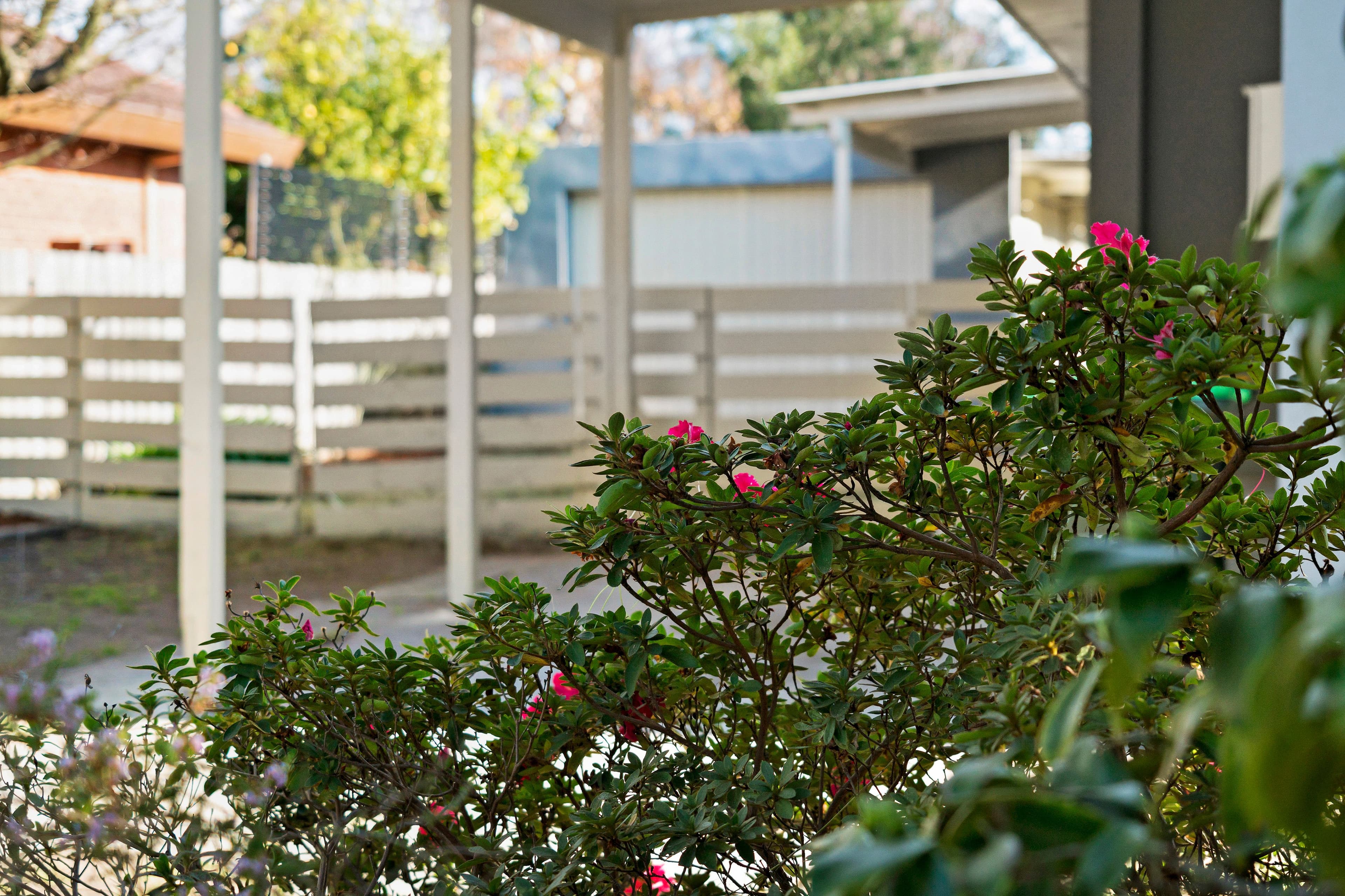 52 Belar Avenue, Frankston VIC 3199, Frankston - Thumbnail 8