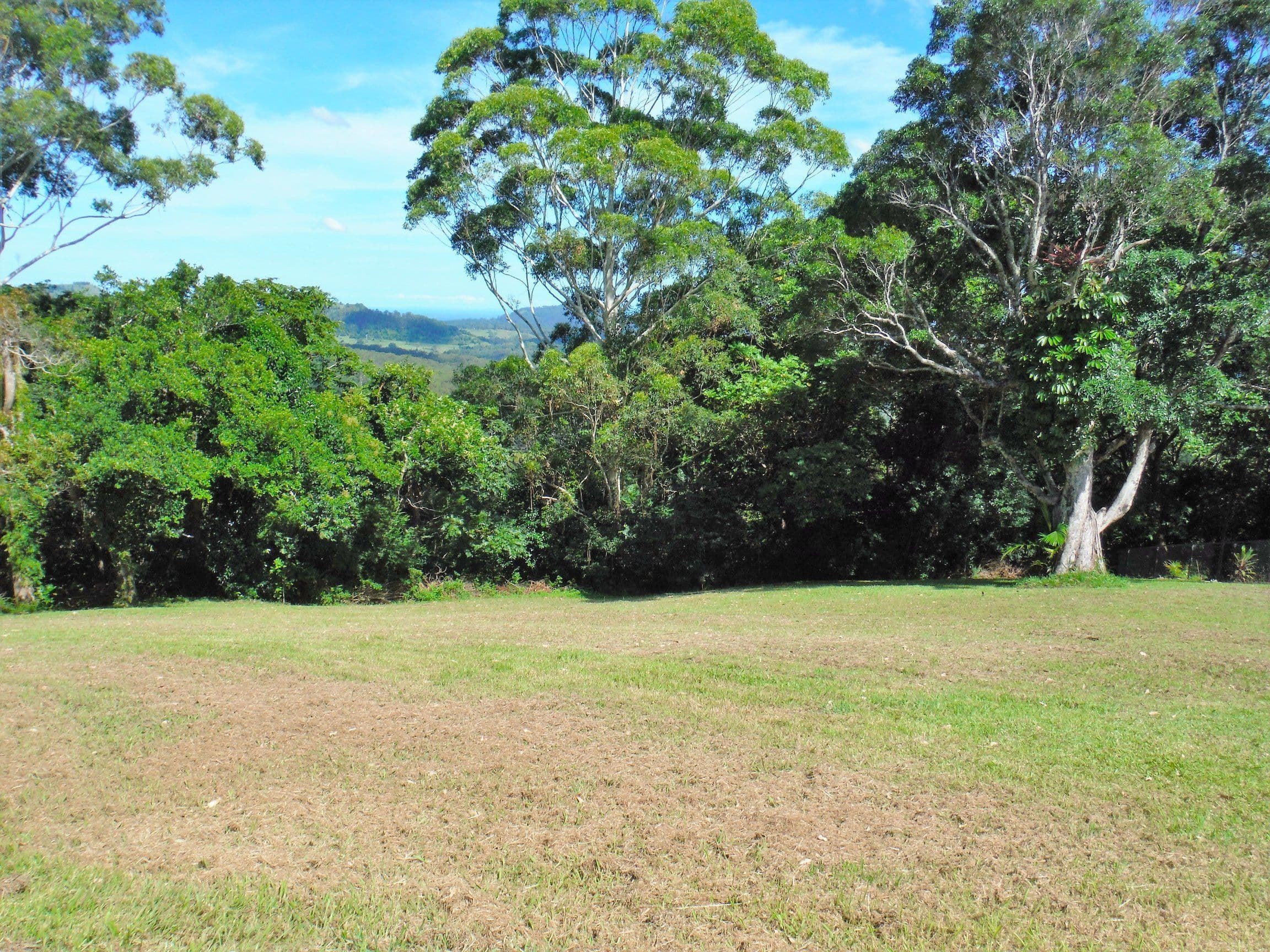 429 Mountain View Road, Maleny QLD 4552, Maleny - Thumbnail 8