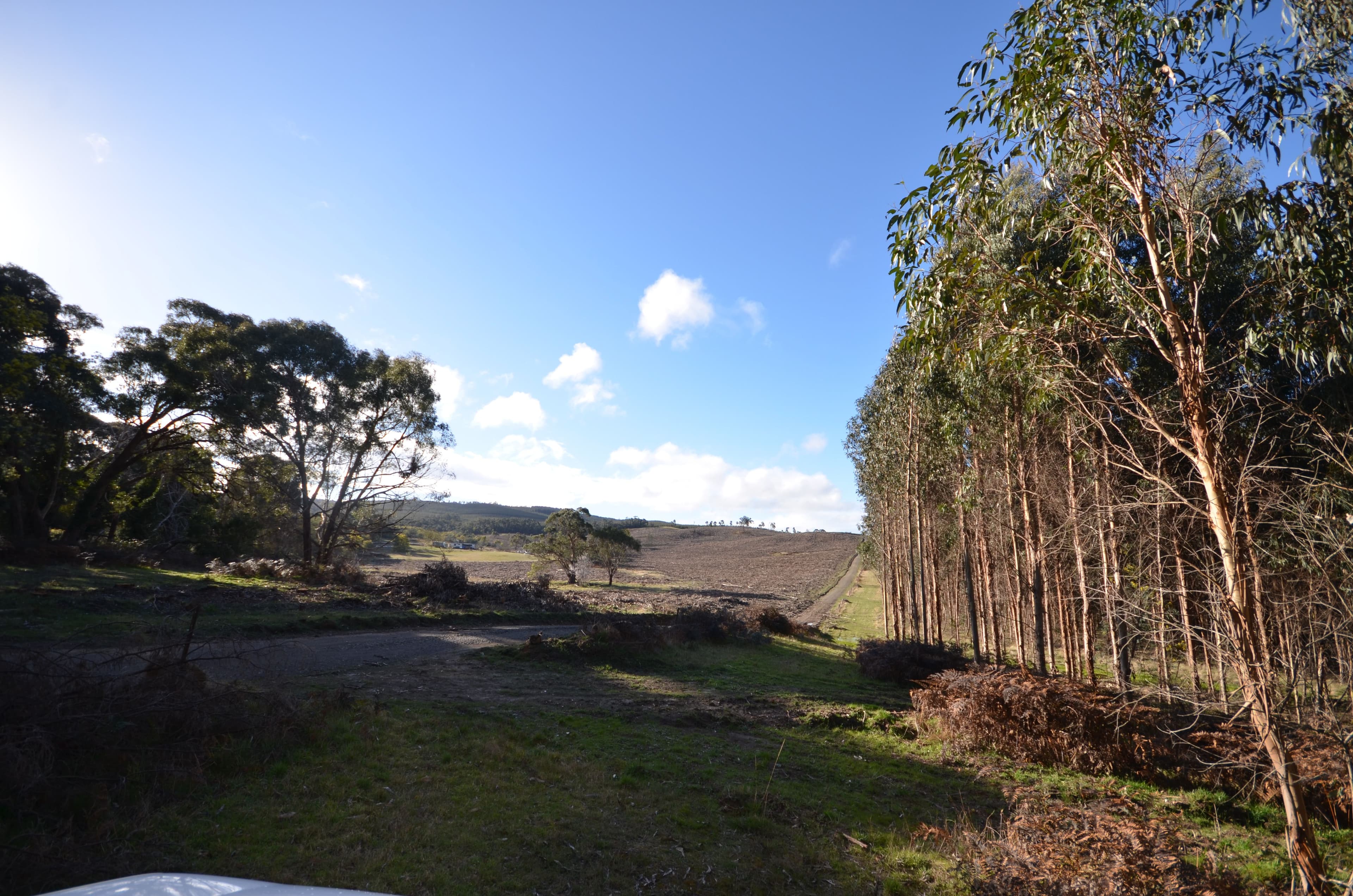 Papadimitriou Graveyard Hill Road, RAGLAN VIC 3373, Raglan - Thumbnail 6